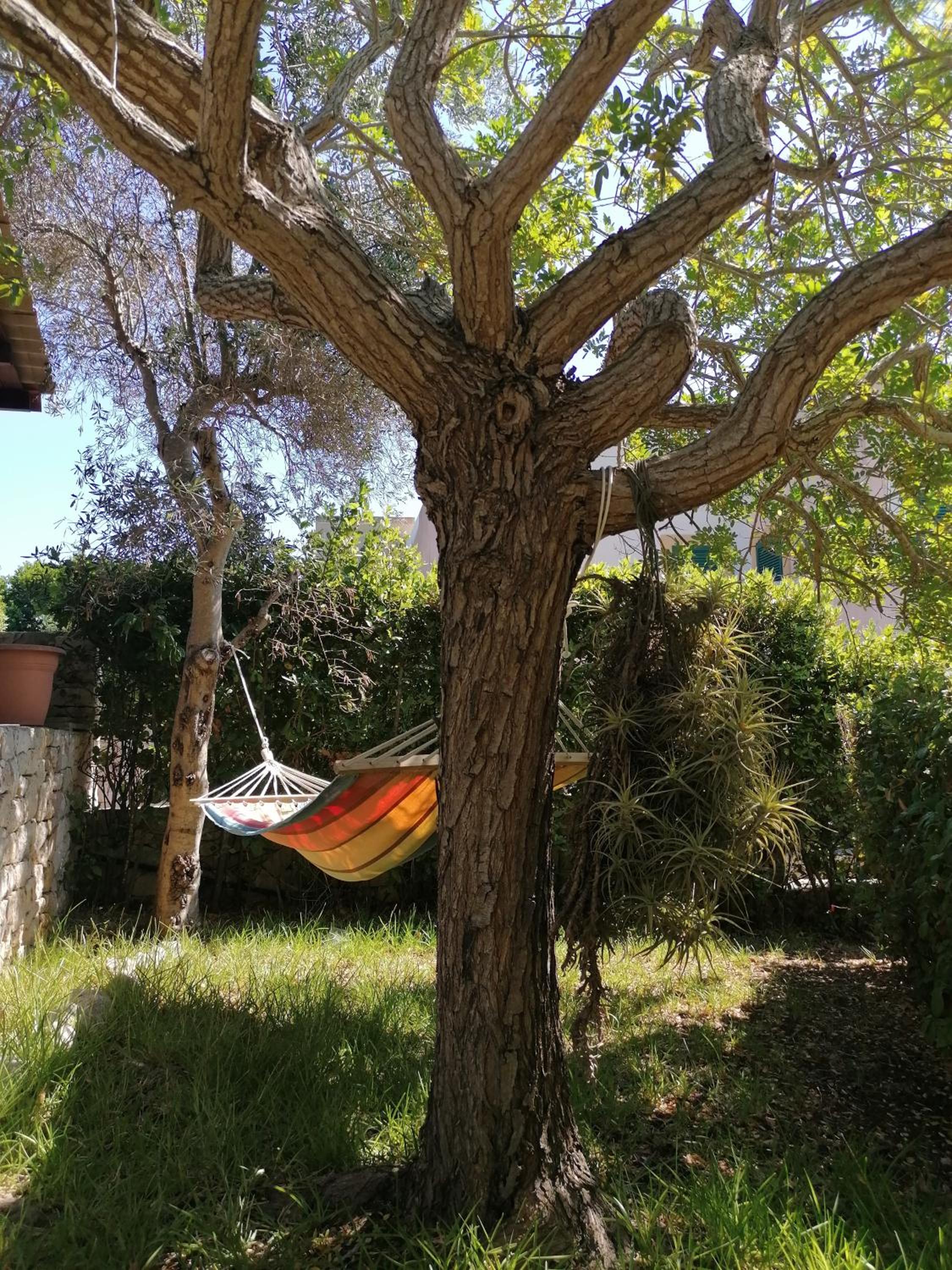 Villa Nena, vista mare view 5