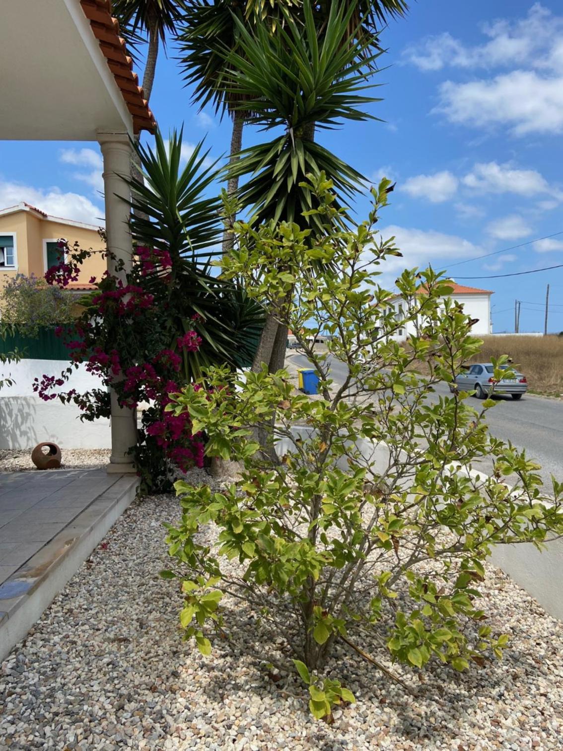 Casa do Canto - Uma casa no campo, perto da praia.