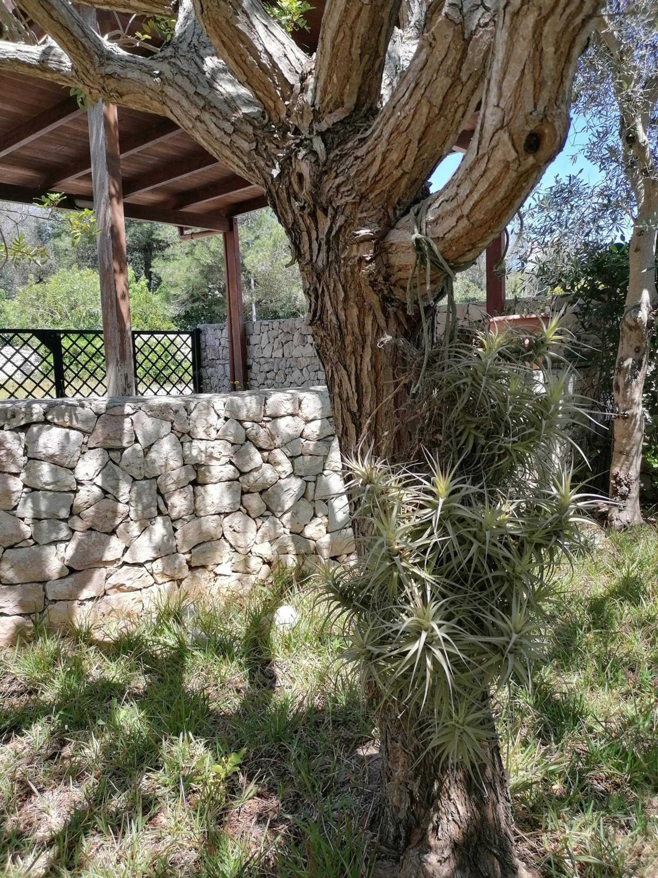 Photo 34