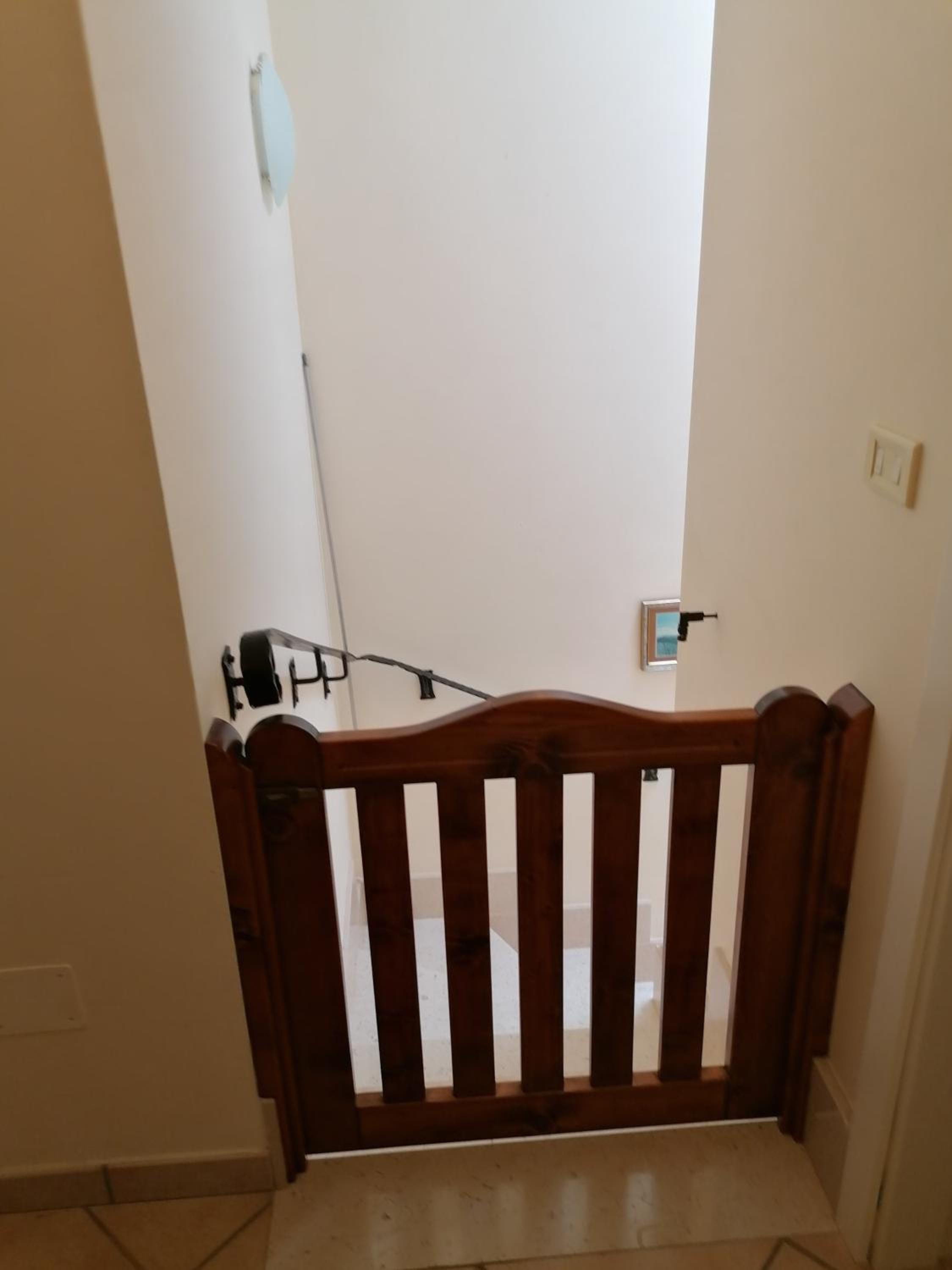Photo 51