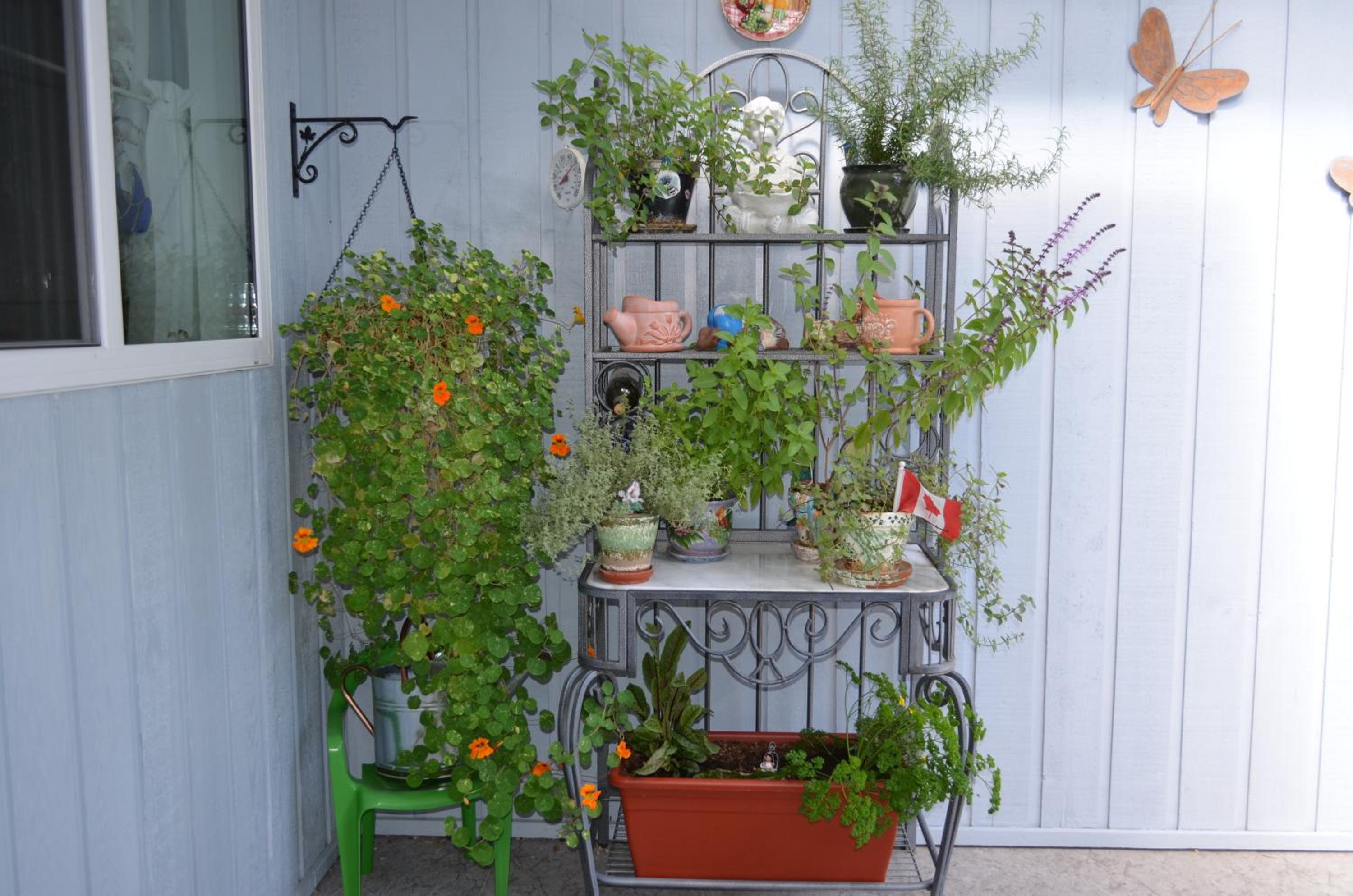 Dogwood Bed & Breakfast