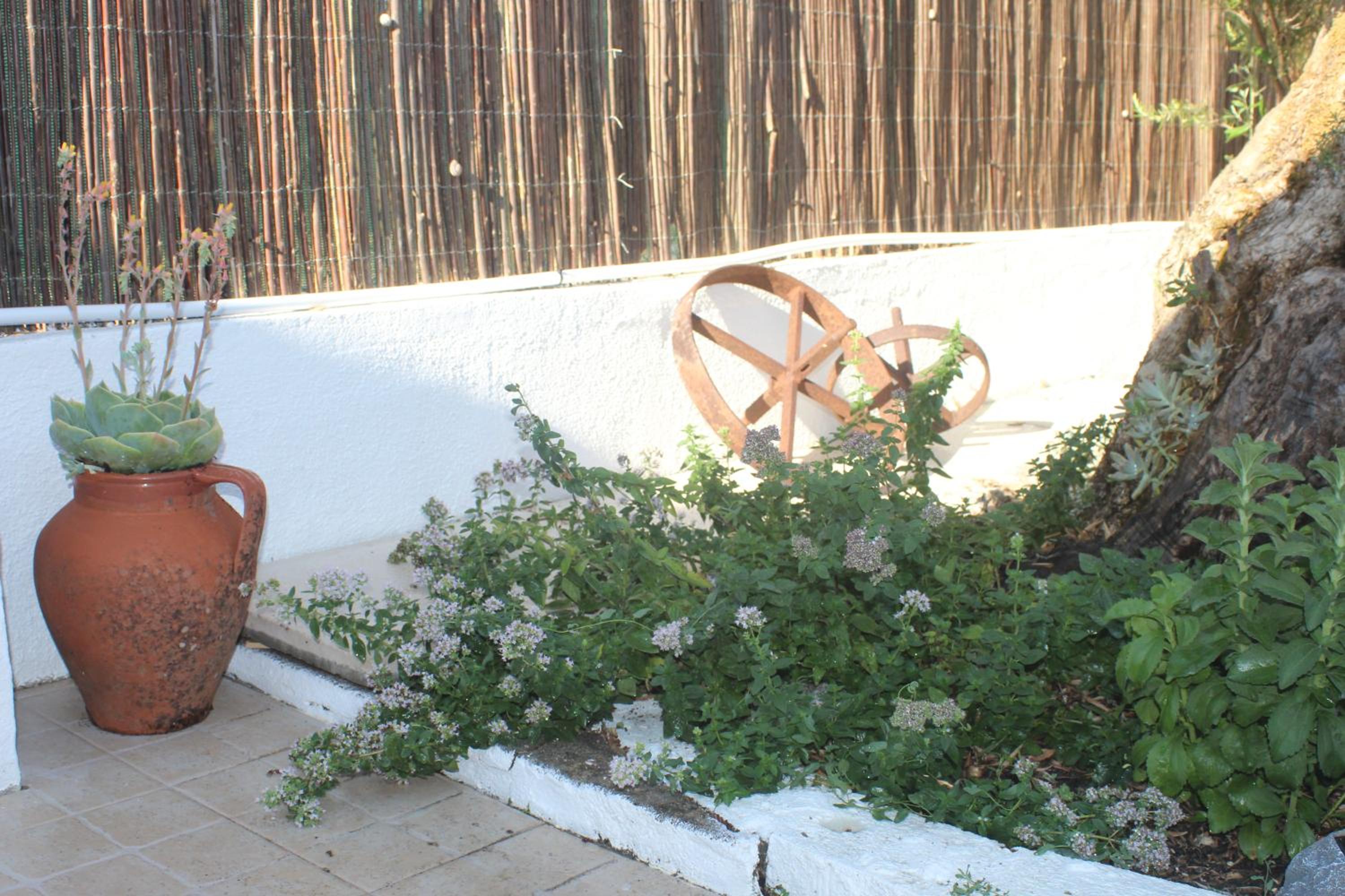 Photo 36