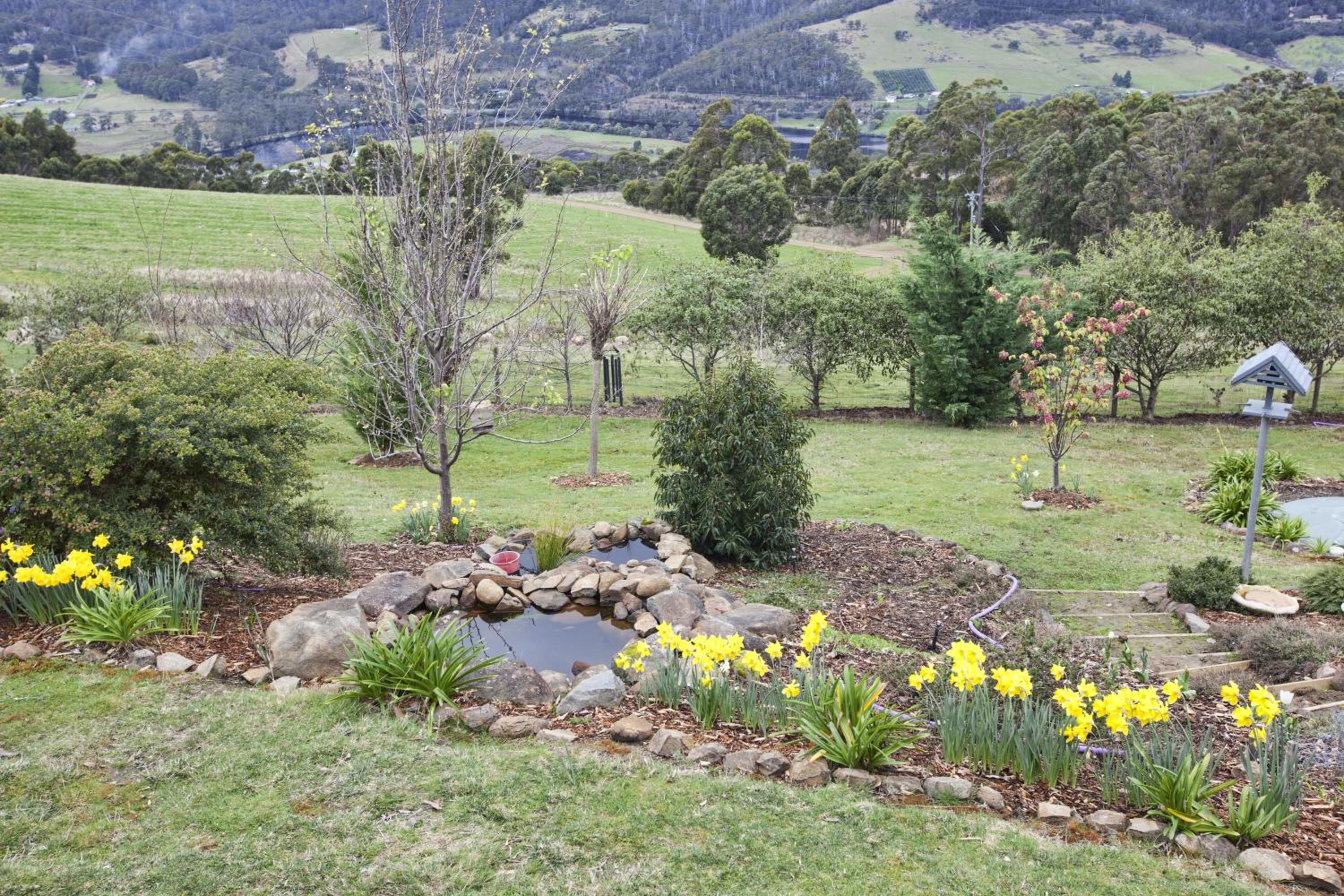 House on the Hill Bed and Breakfast