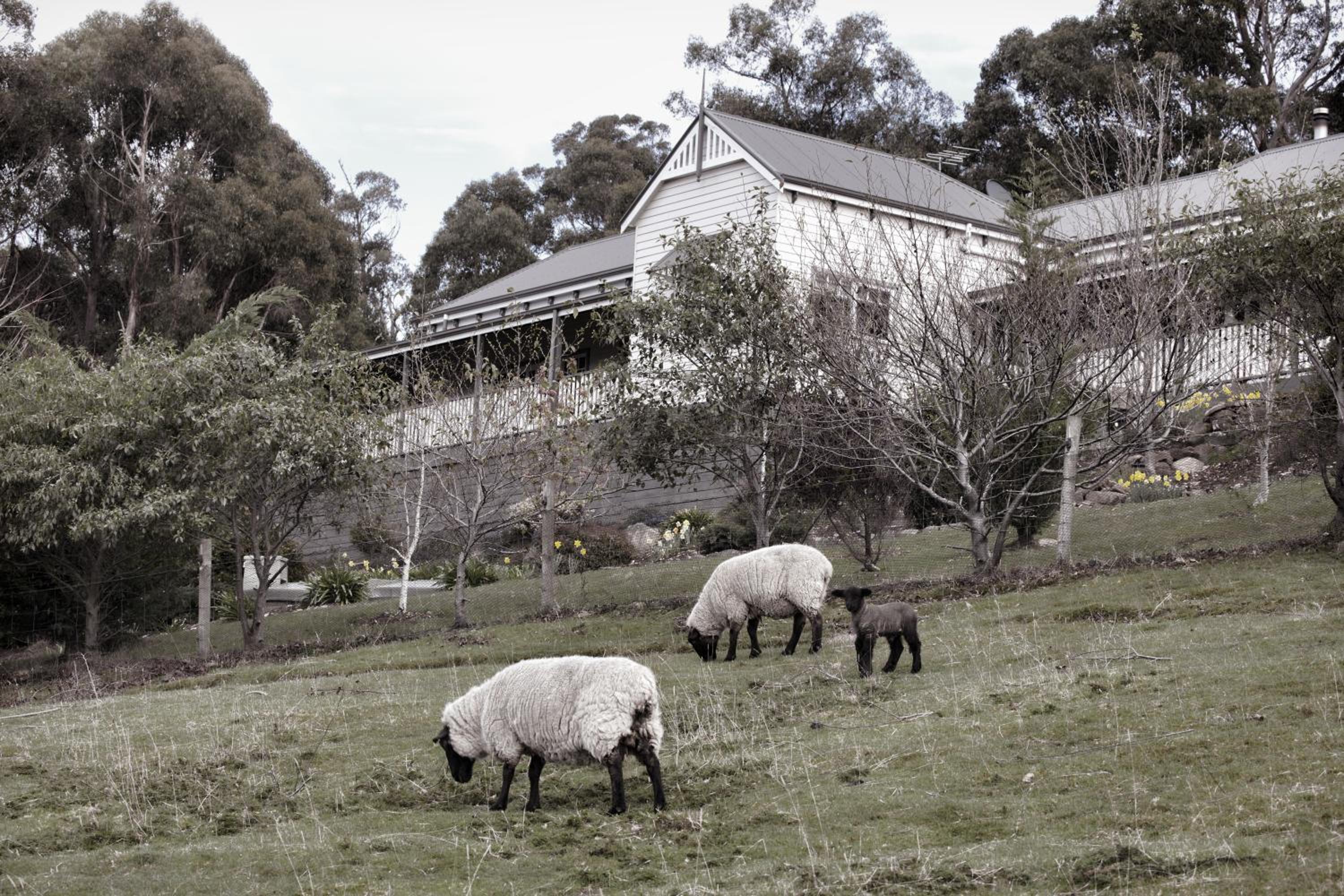 House on the Hill Bed and Breakfast