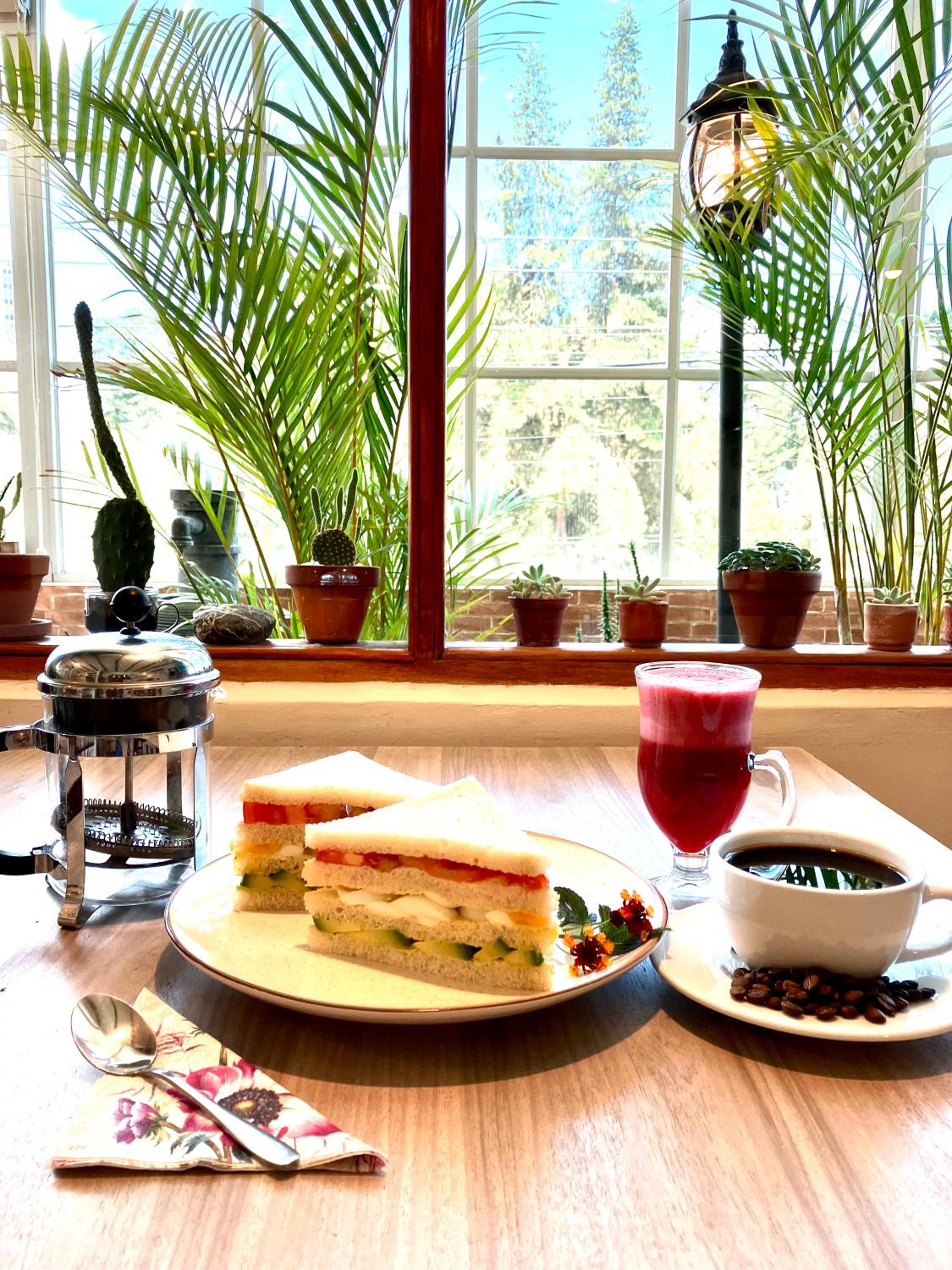 Quito Terrace