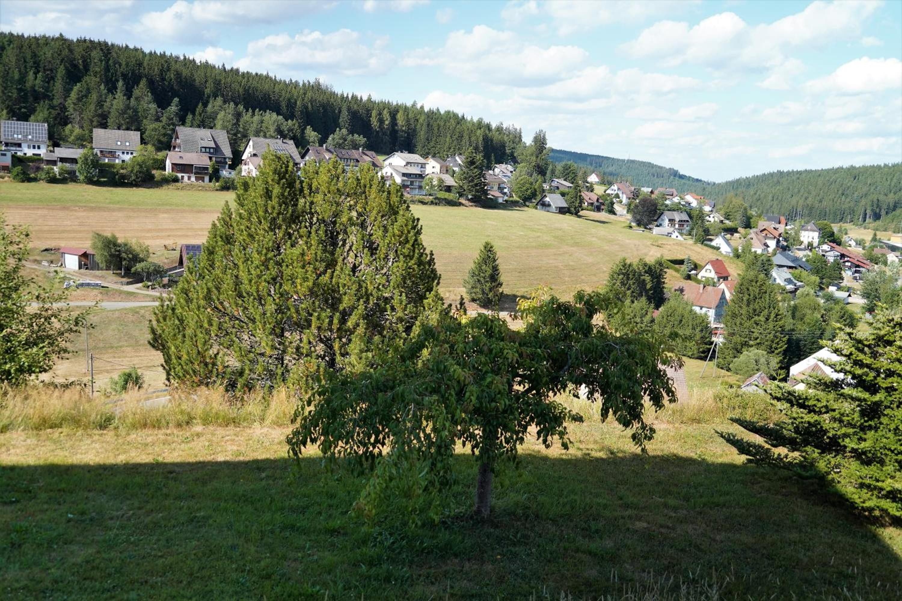 Schwarzwaldblick