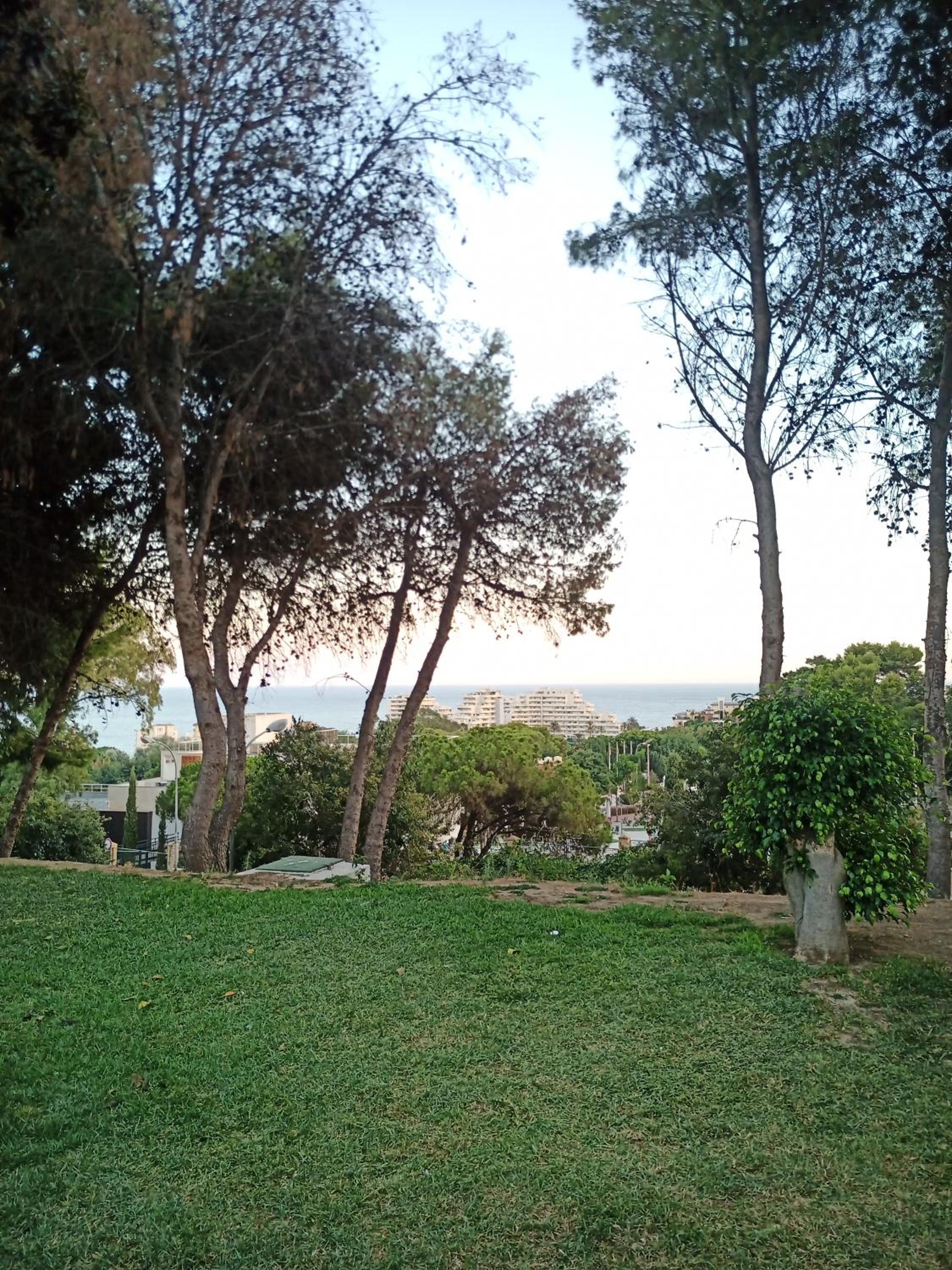 Photo 33