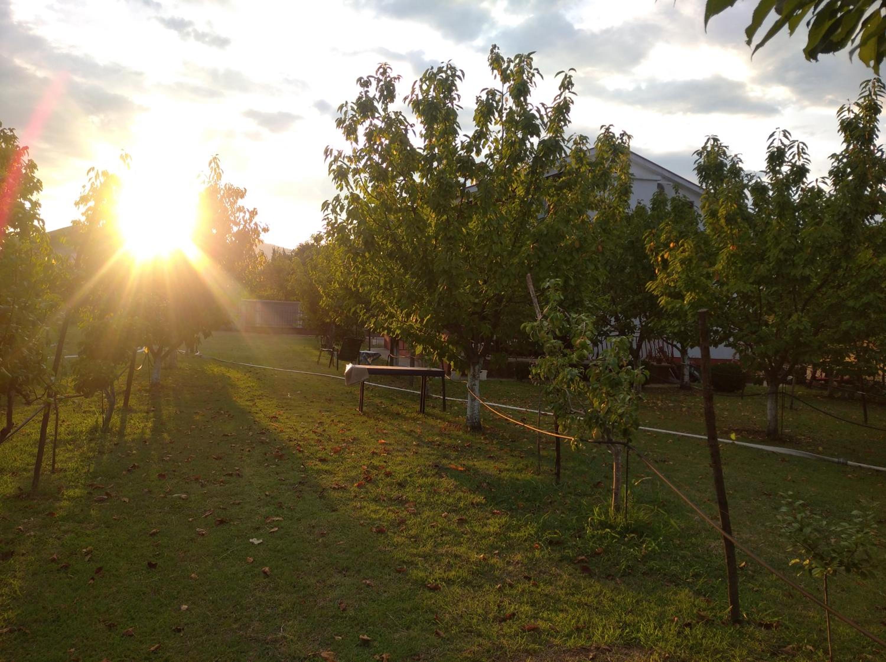 Airport home Radinovic view 3
