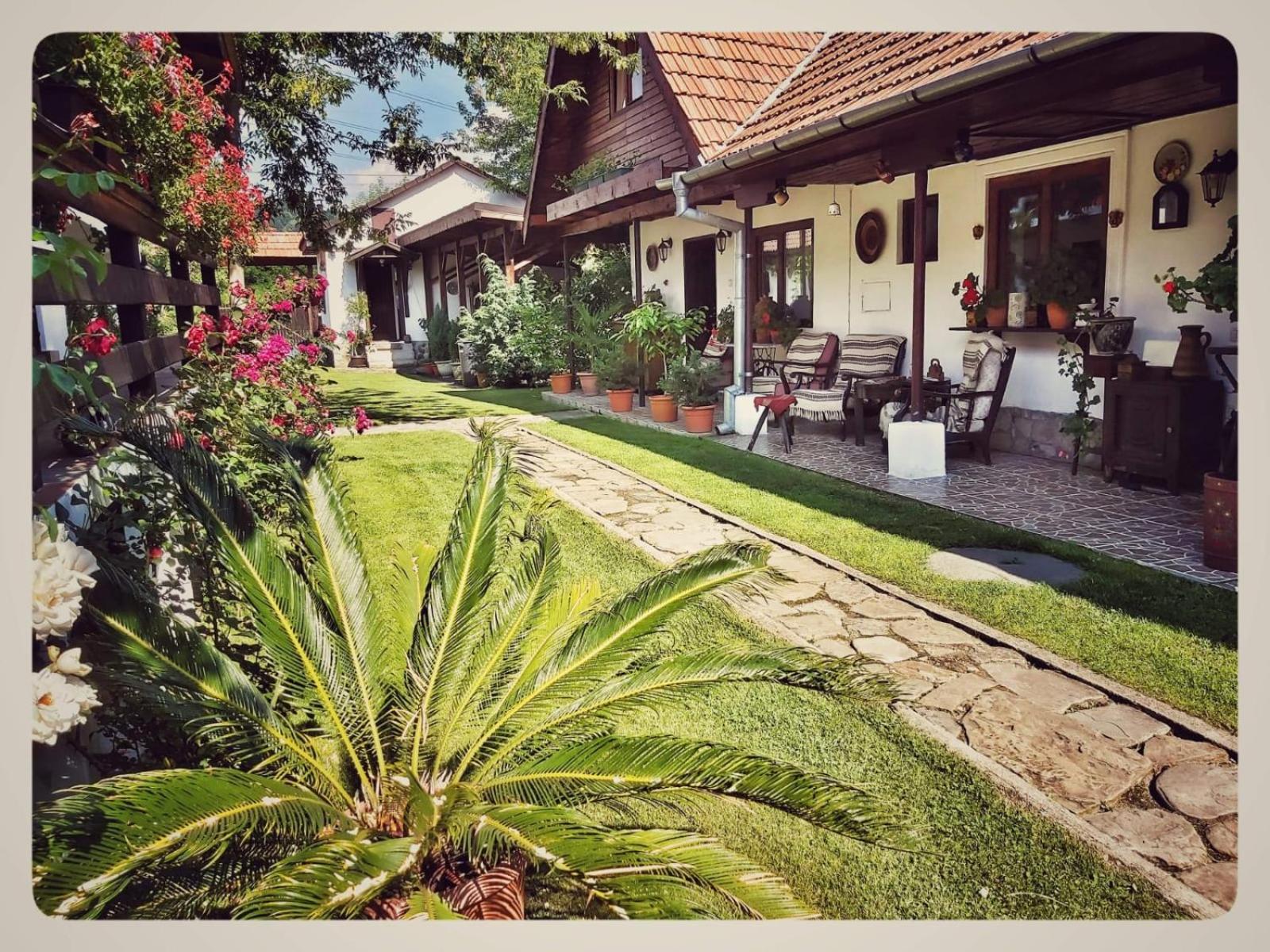 Casa Veche view 4