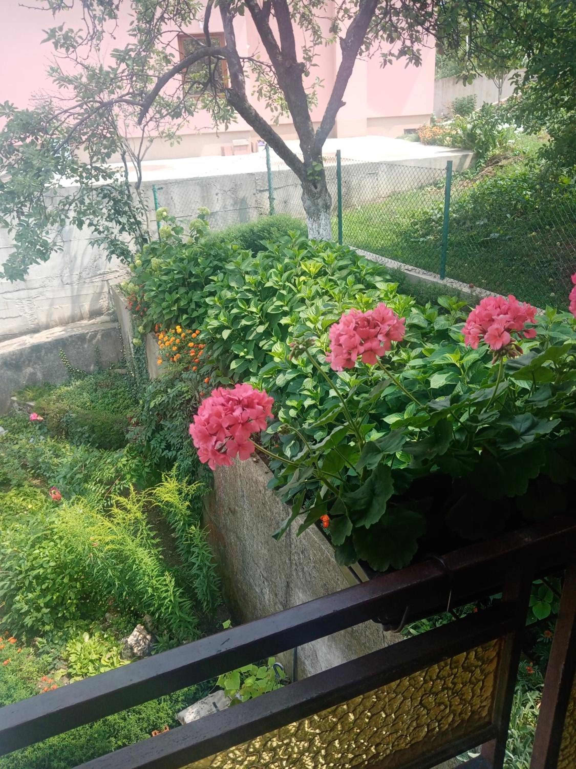 Photo 33