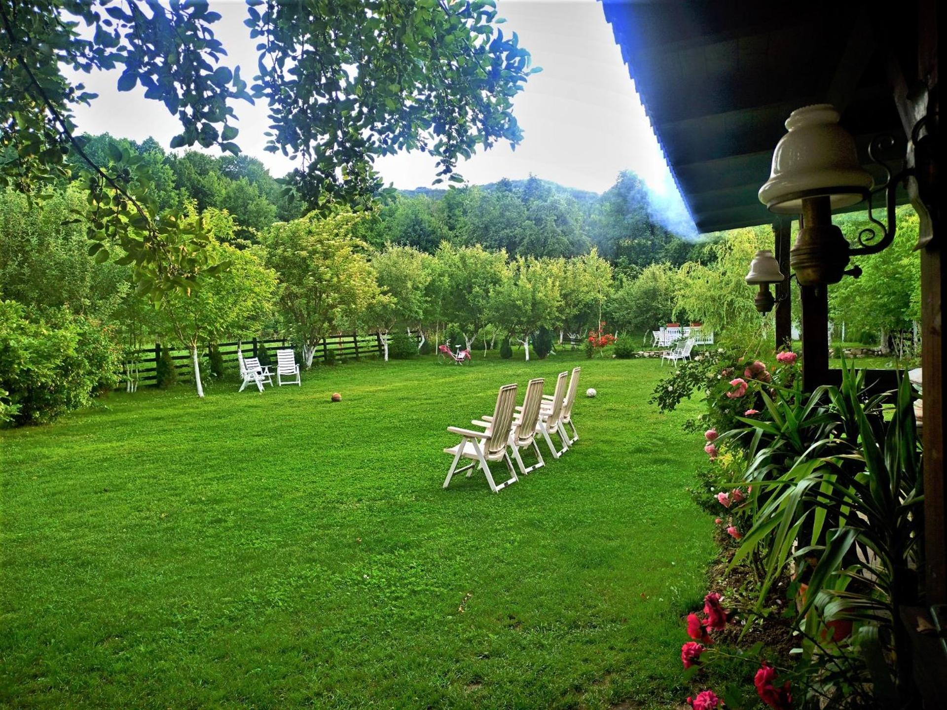 Photo 44