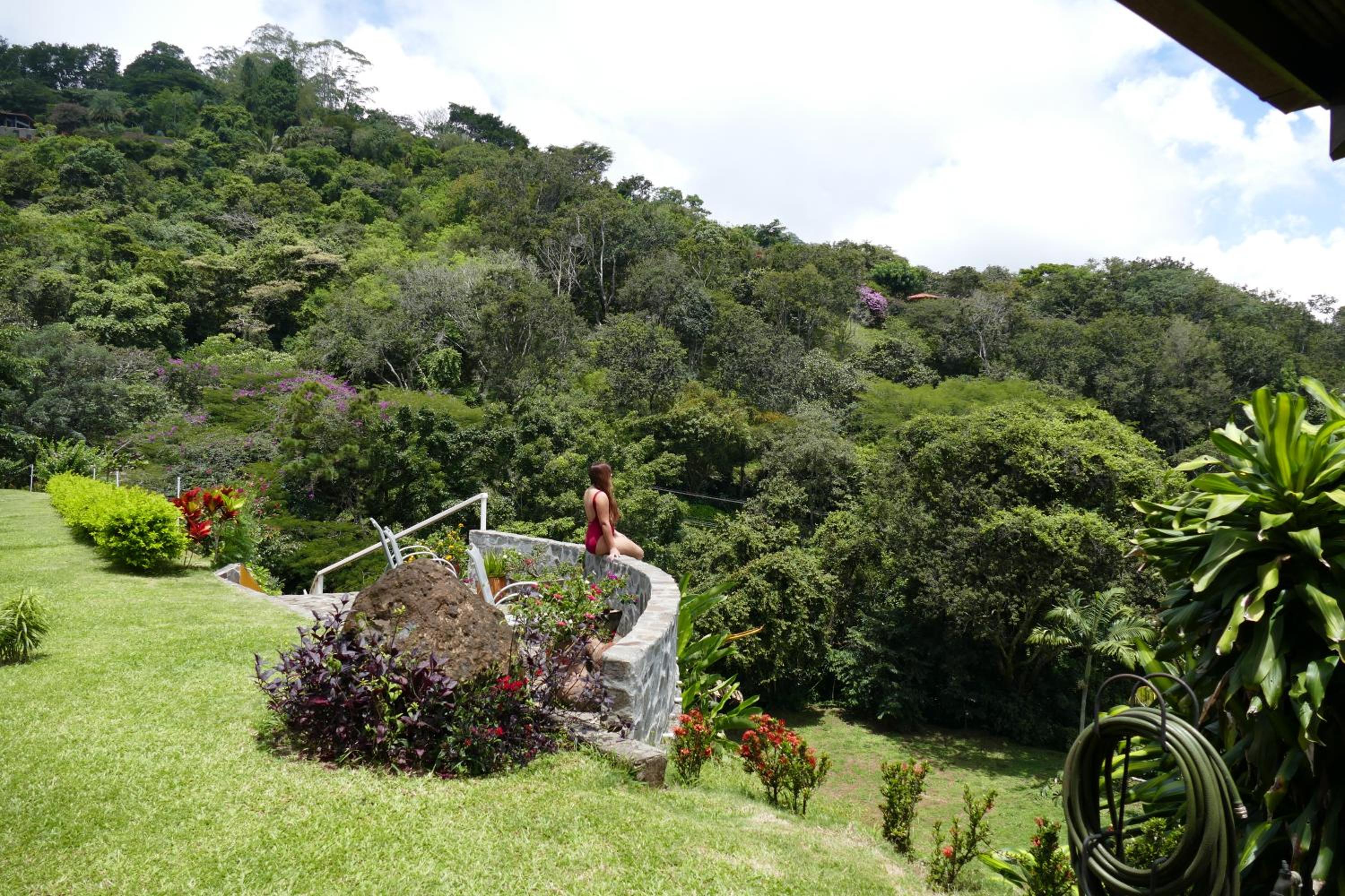 Photo 41
