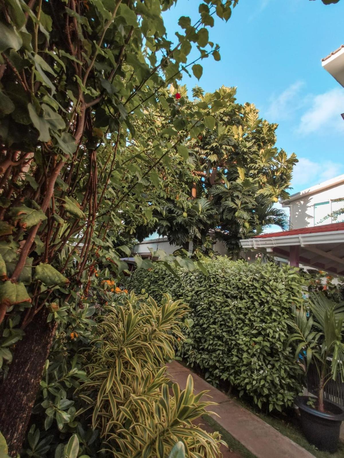 Summer House Inn San Andres