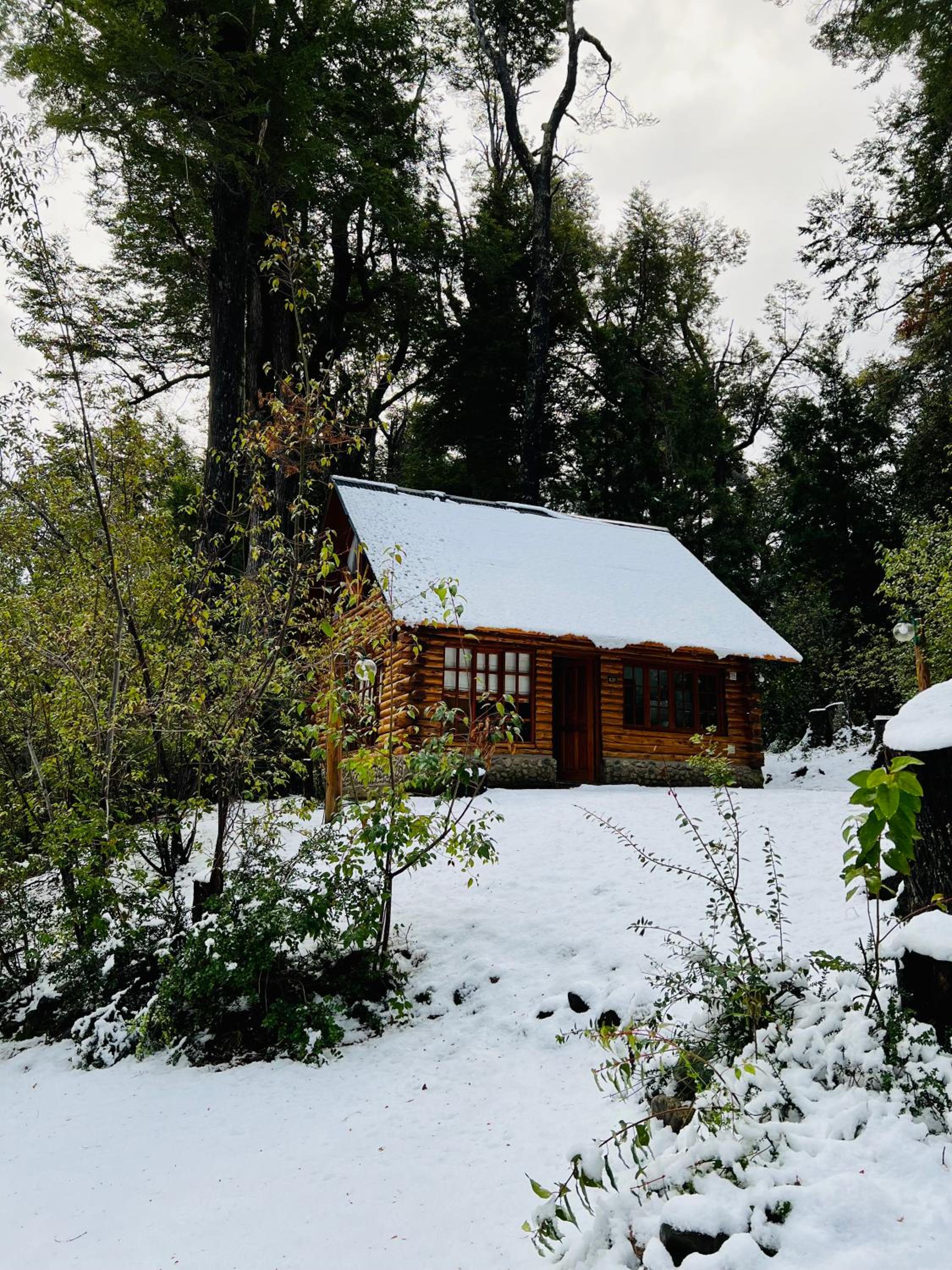 Cabaña en la costa del Lago Futalaufquen - Parque Nacional Los Alerces