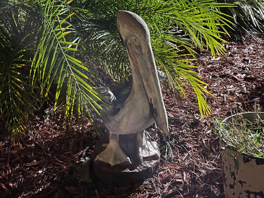 Photo 48
