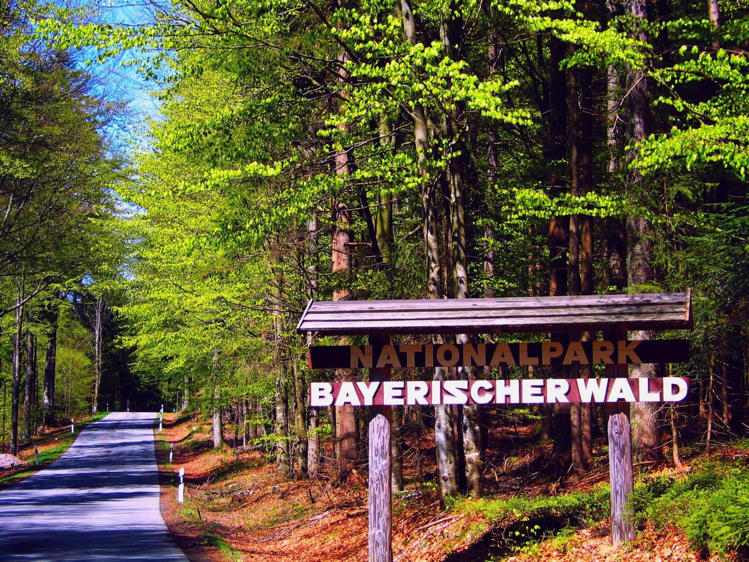 Pension Salzsäumer - Adults Only