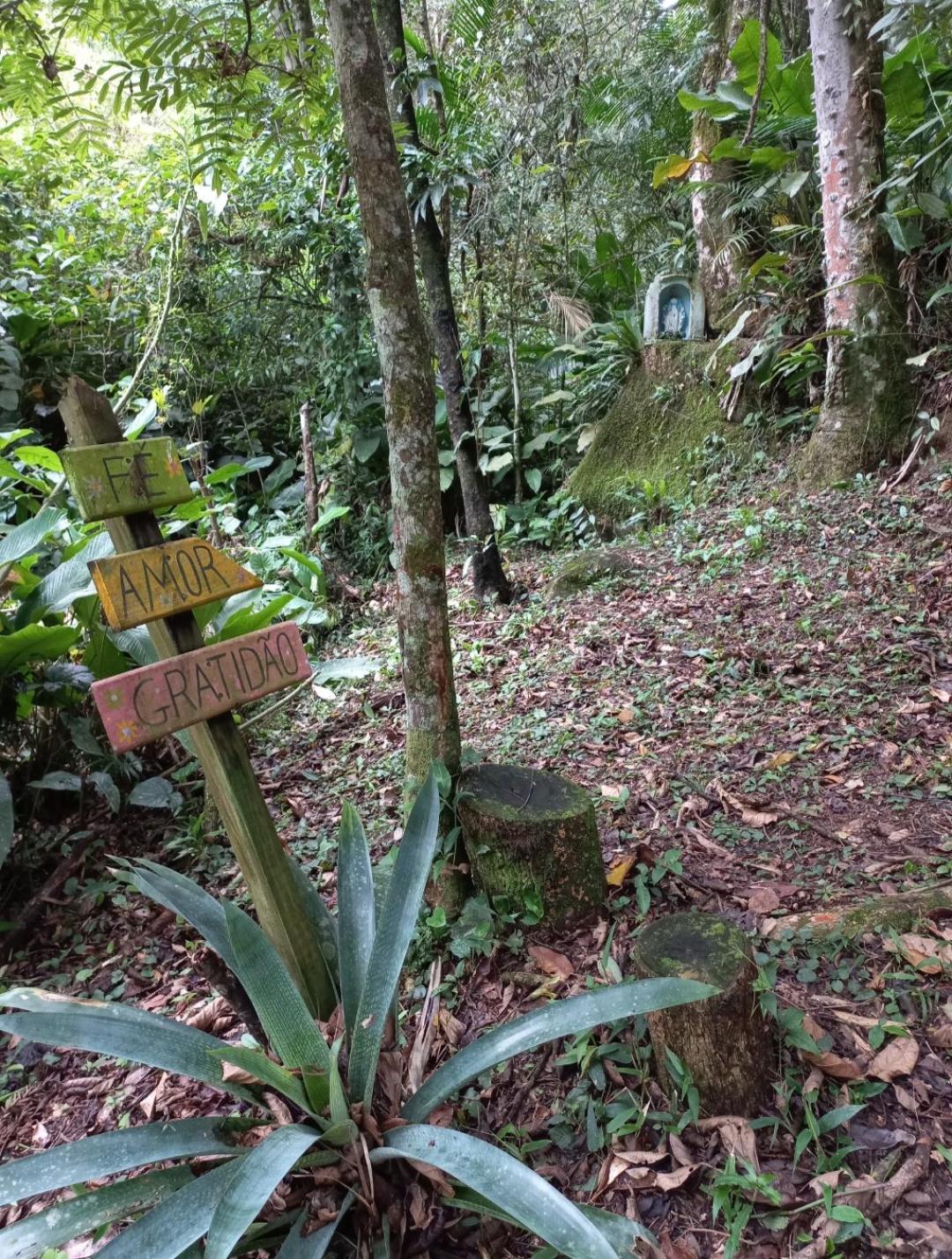 Photo 45