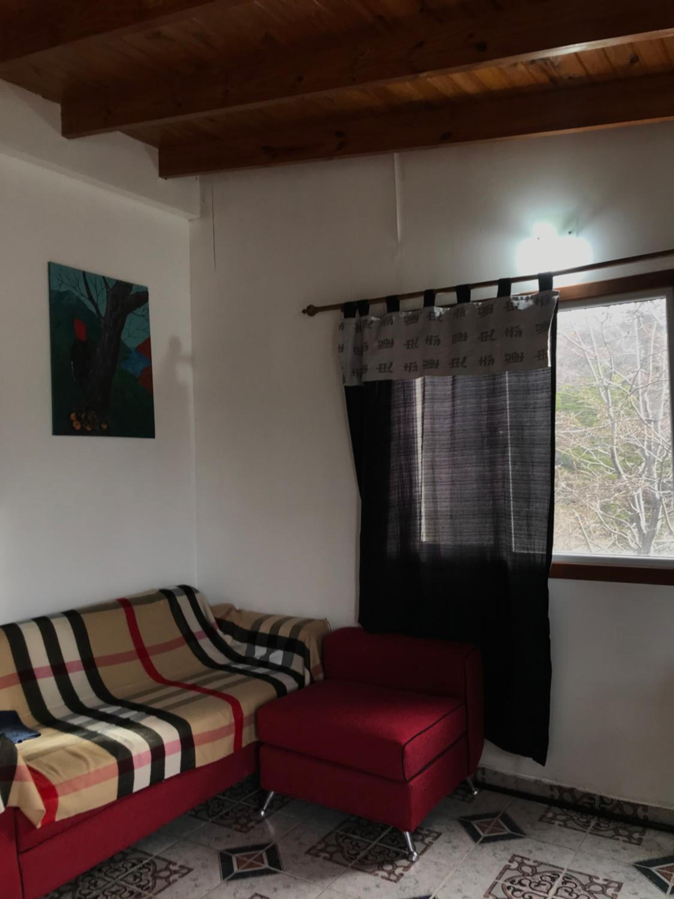 Departamento Pájaro Carpintero