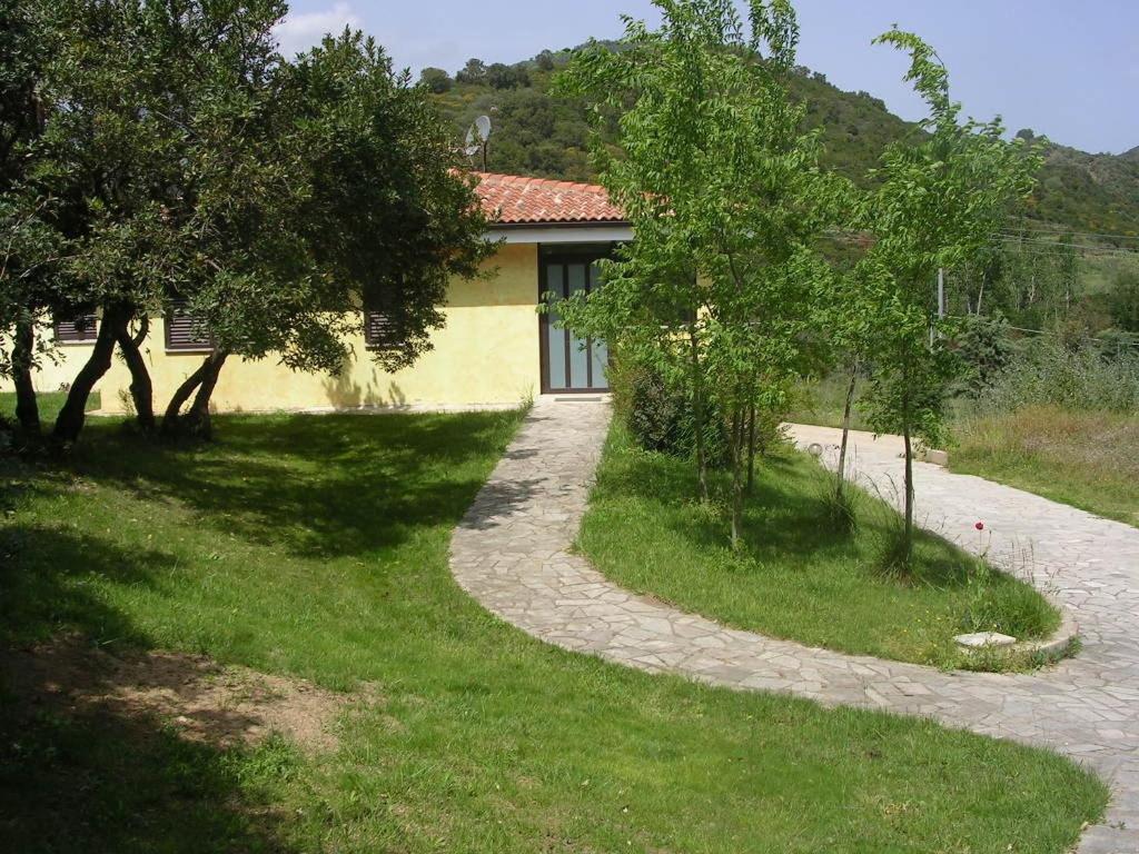 Photo 20