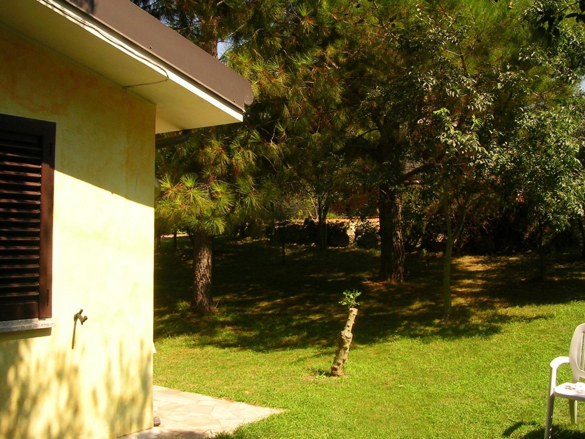 Photo 29