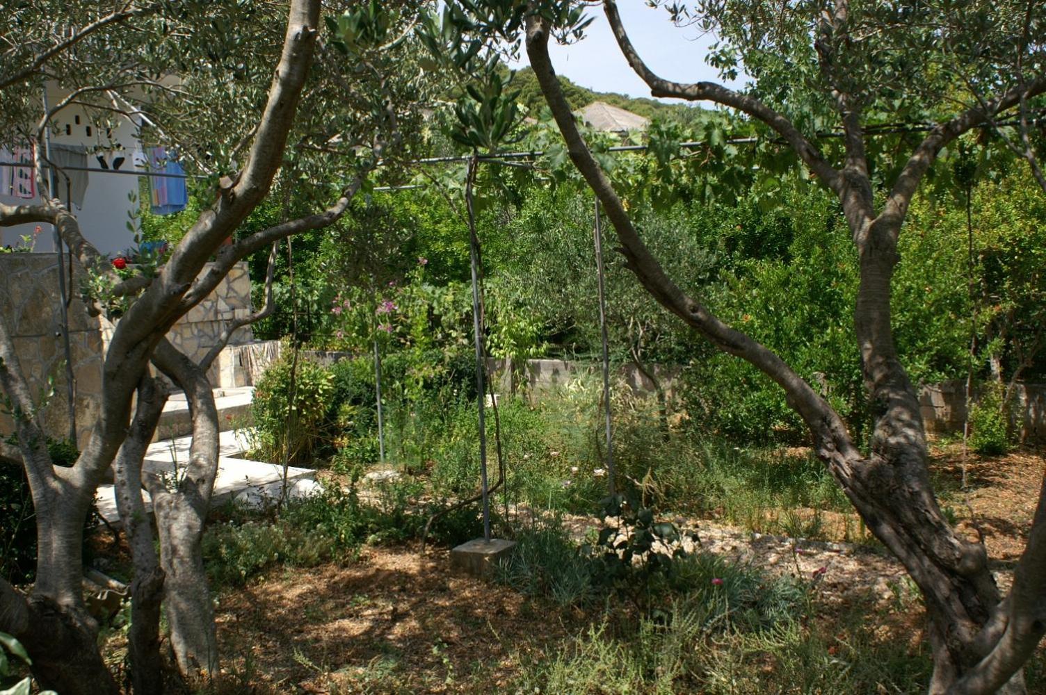 Apartments by the sea Vrgada, Biograd - 4206 view 3