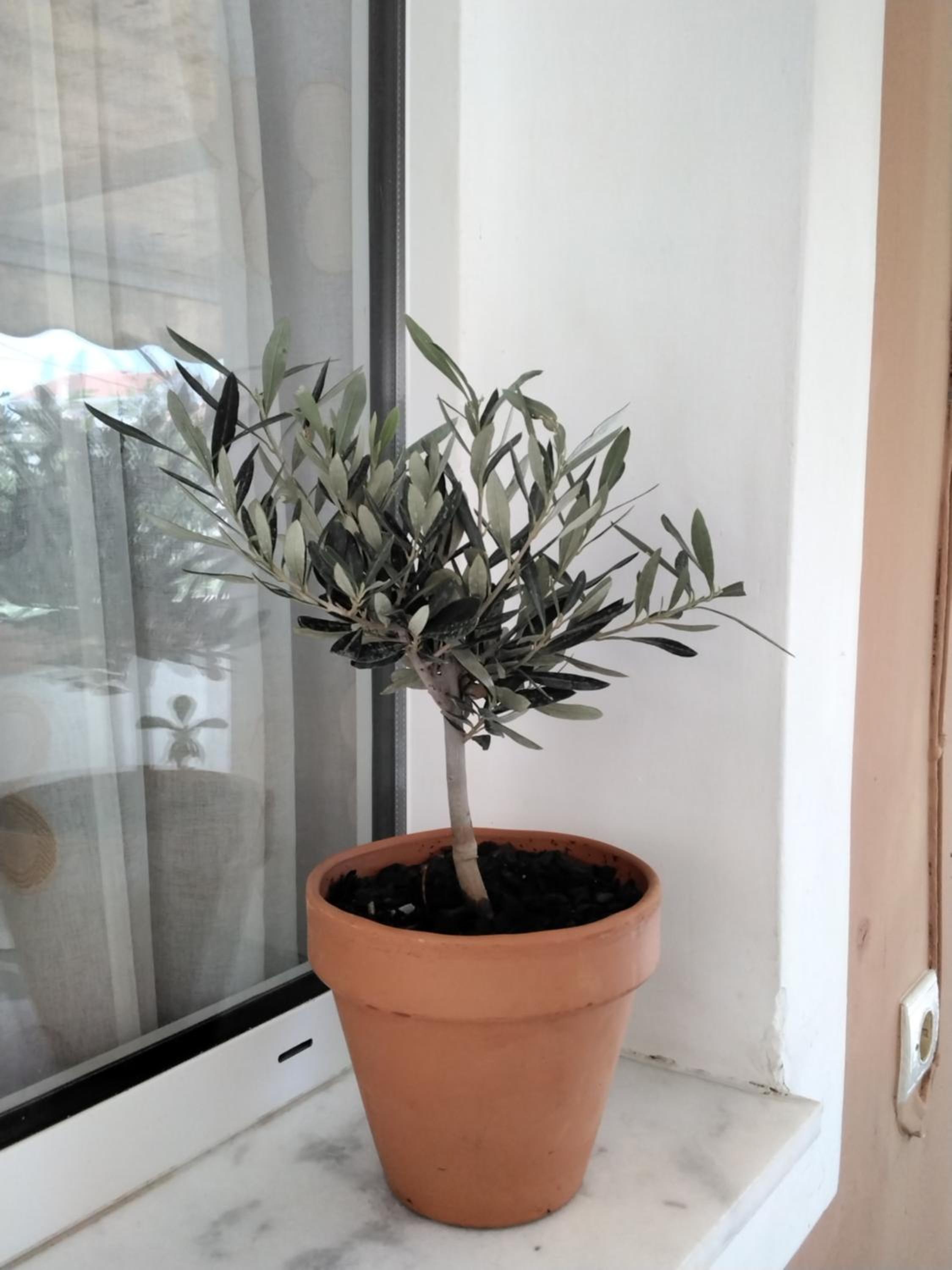 Photo 46