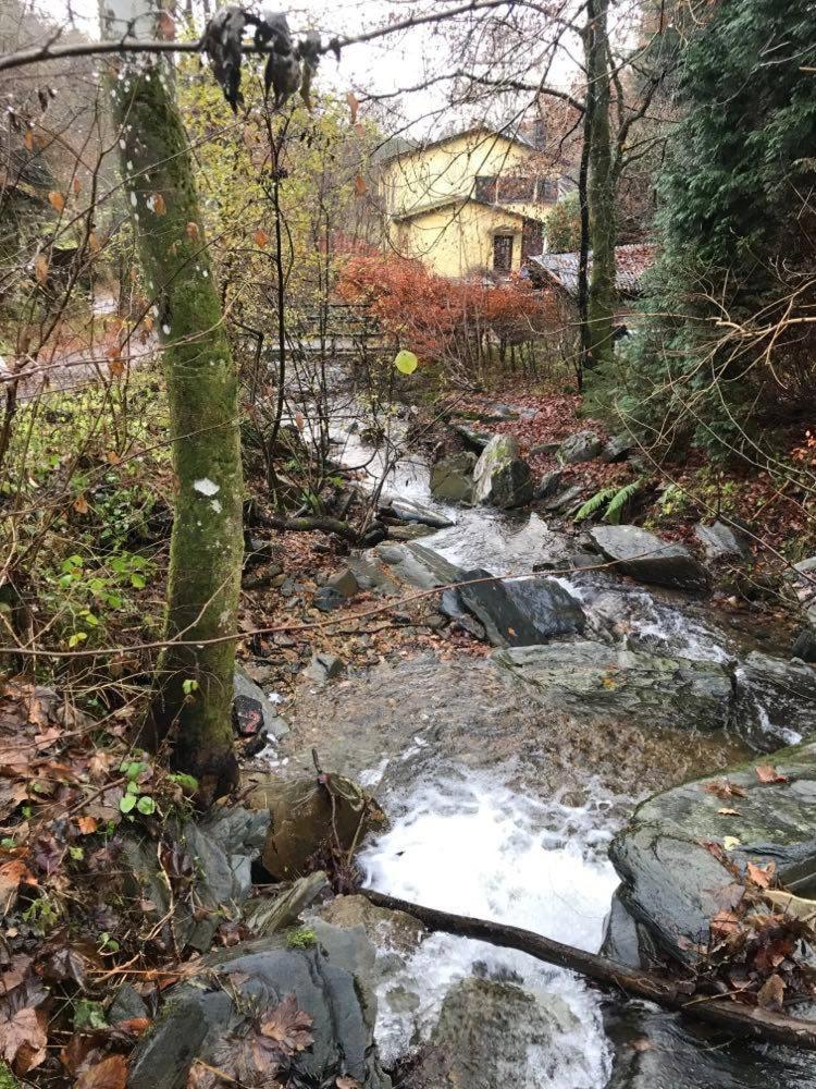 Rivendell 9