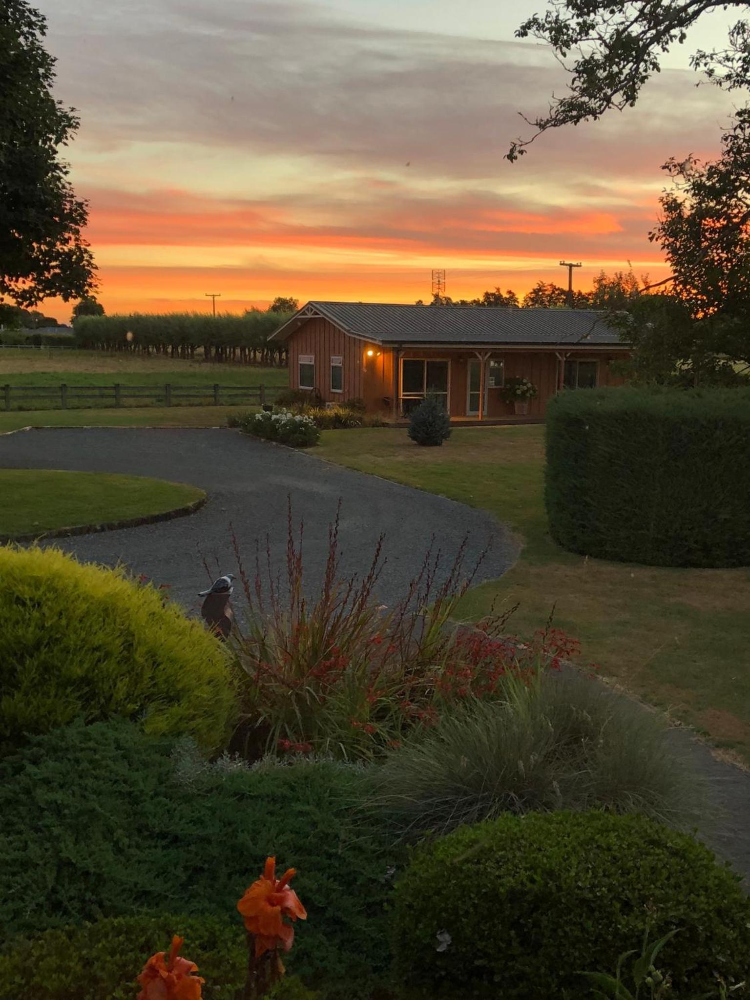Walnut Lodge B&B, photo 22
