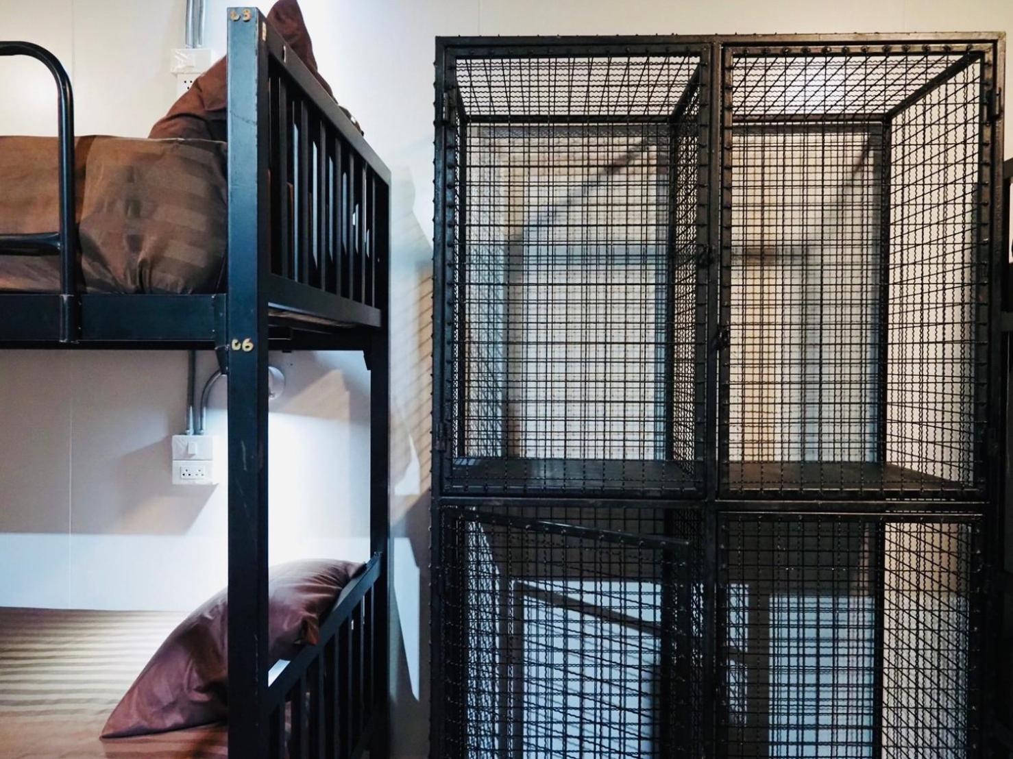 Wild Ones Hostel