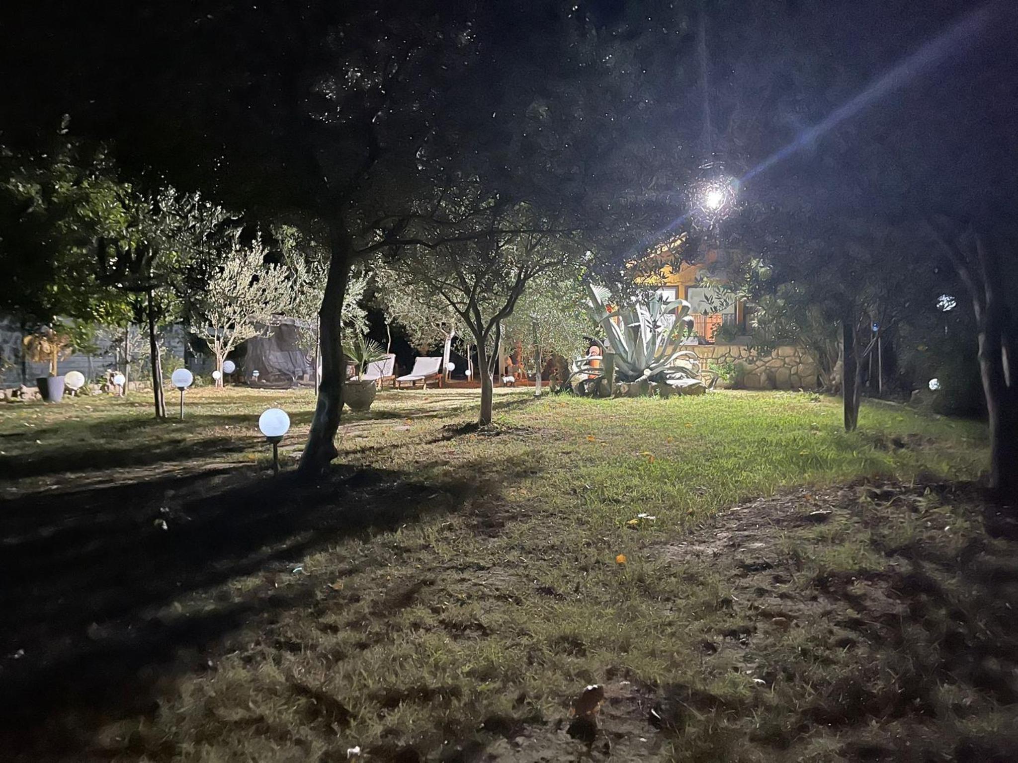 Photo 43