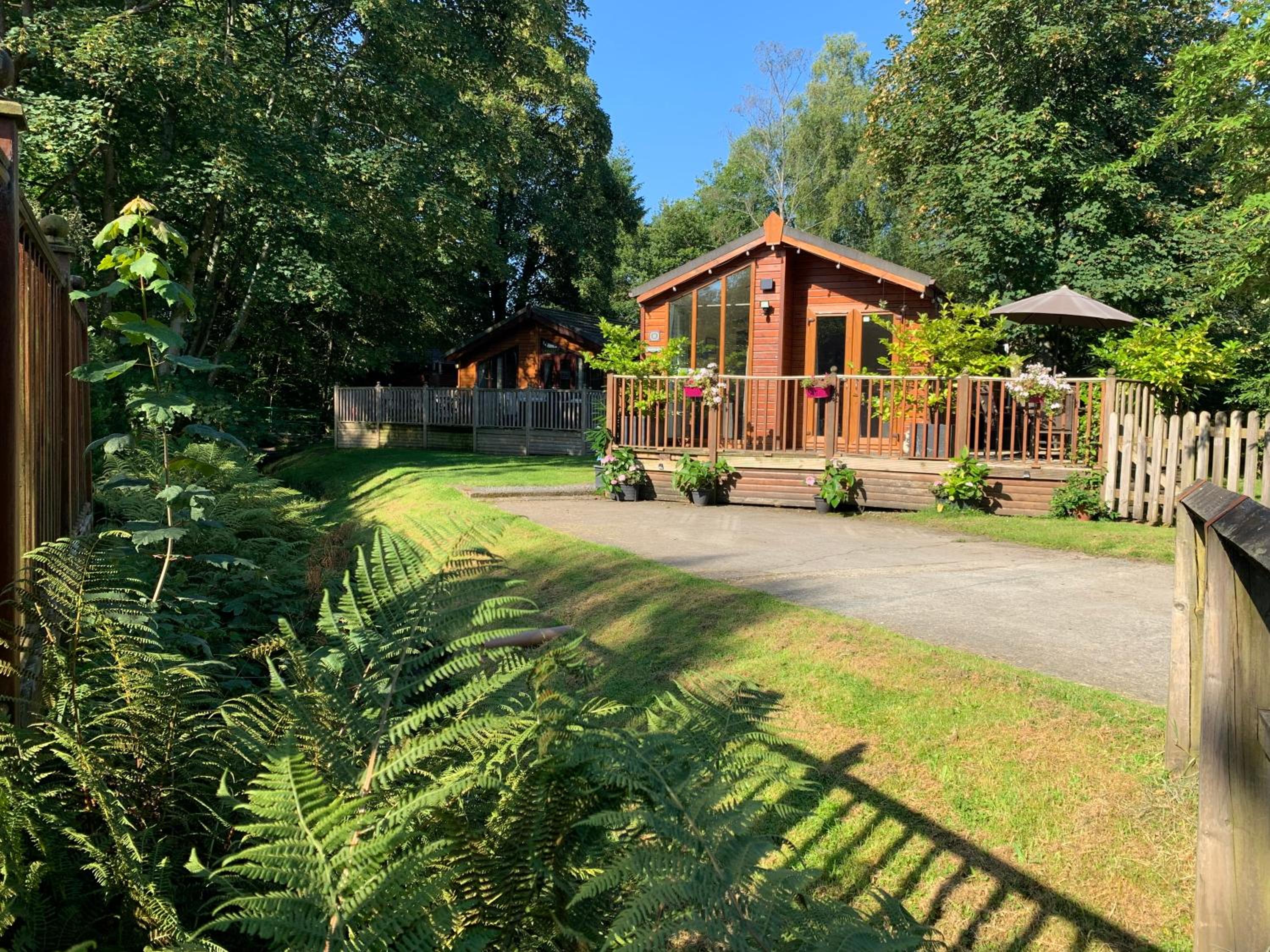 Tiggywinkle Beck Lodge view 5