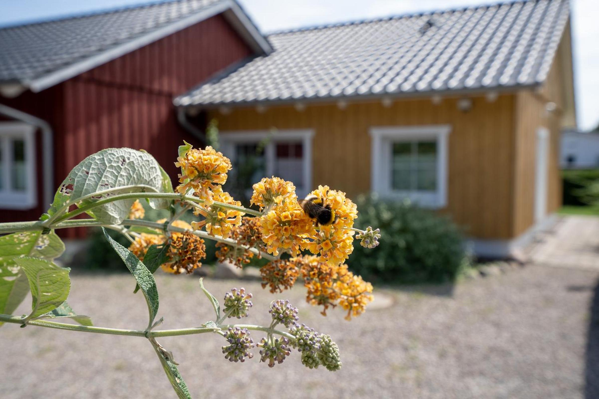 Alte Dahme Kleine Ostseeliebe