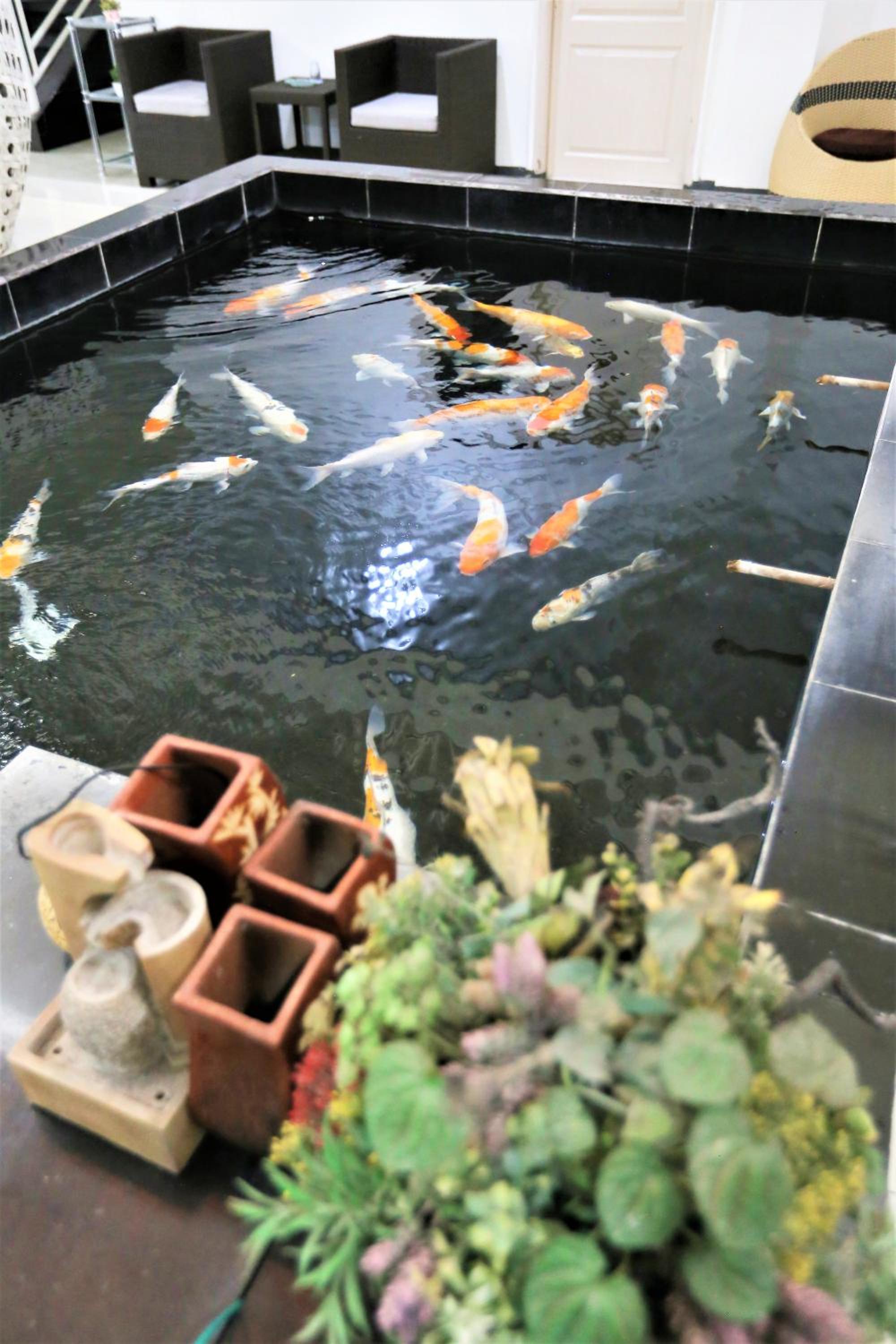 Gading Guest House