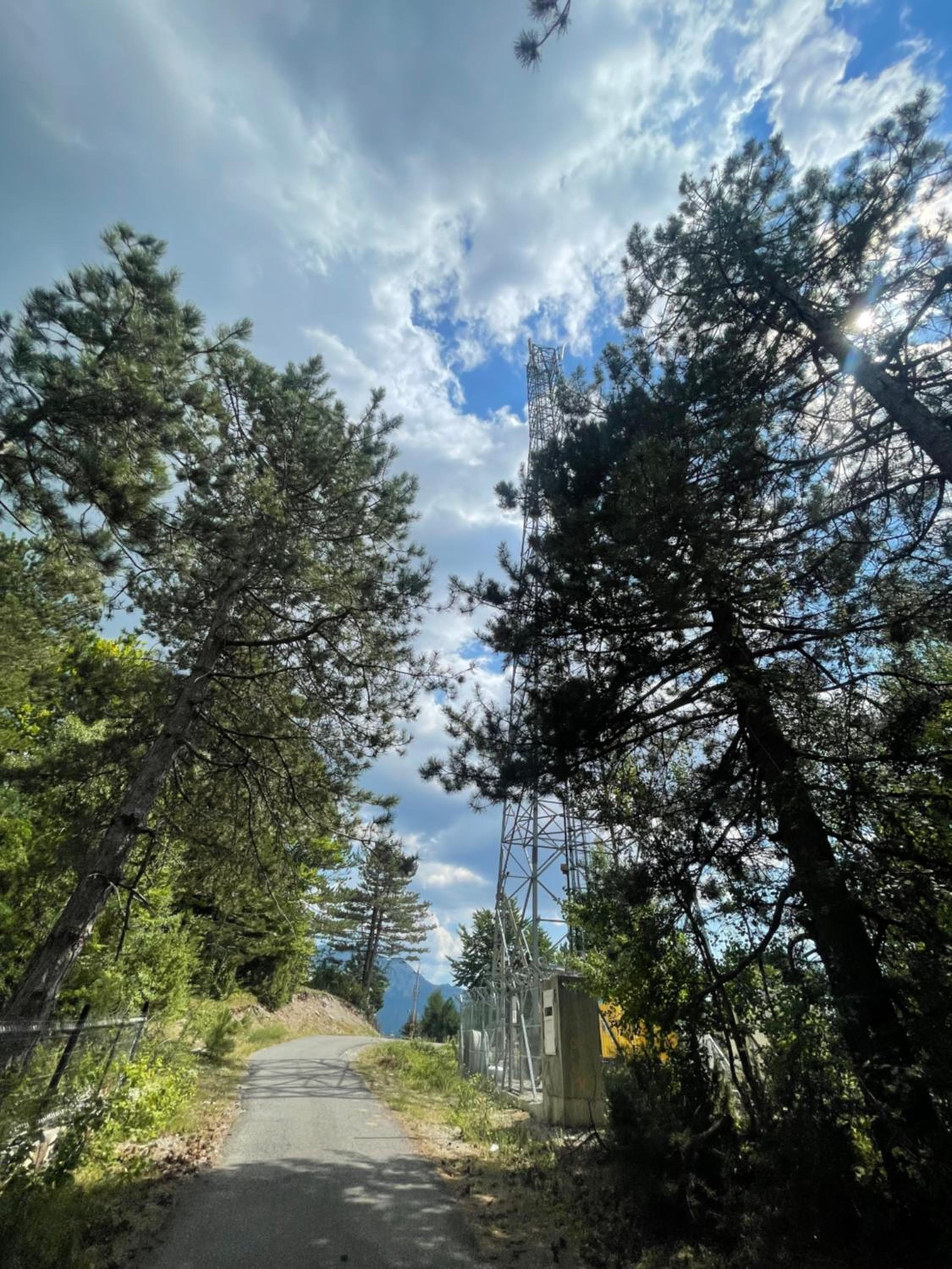 Vila Alpini