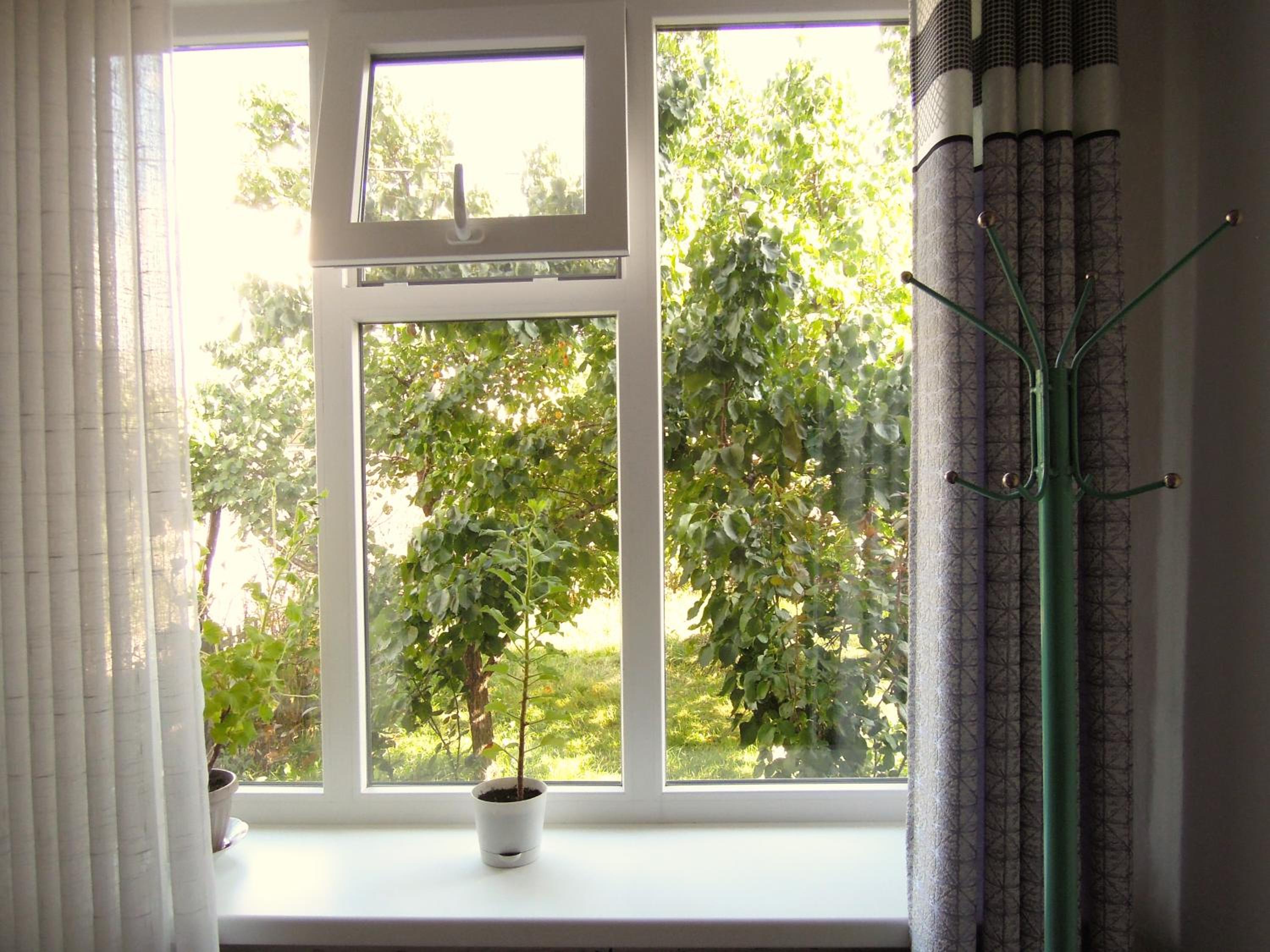 Arthouse view 4
