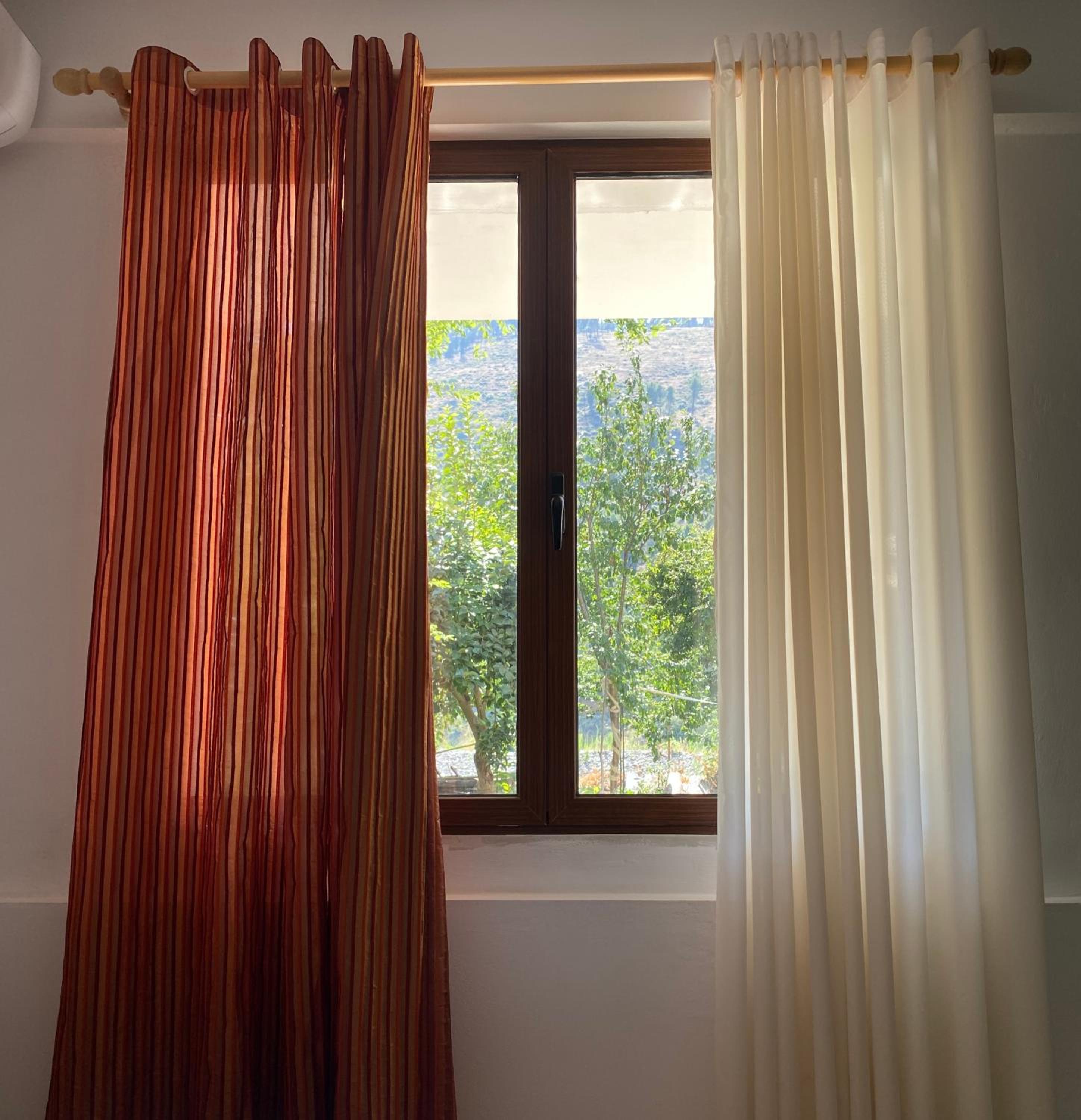 Xho's Forest Guest House