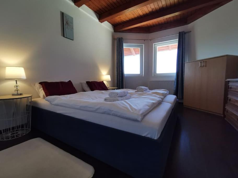 Villa Somlyó view 3