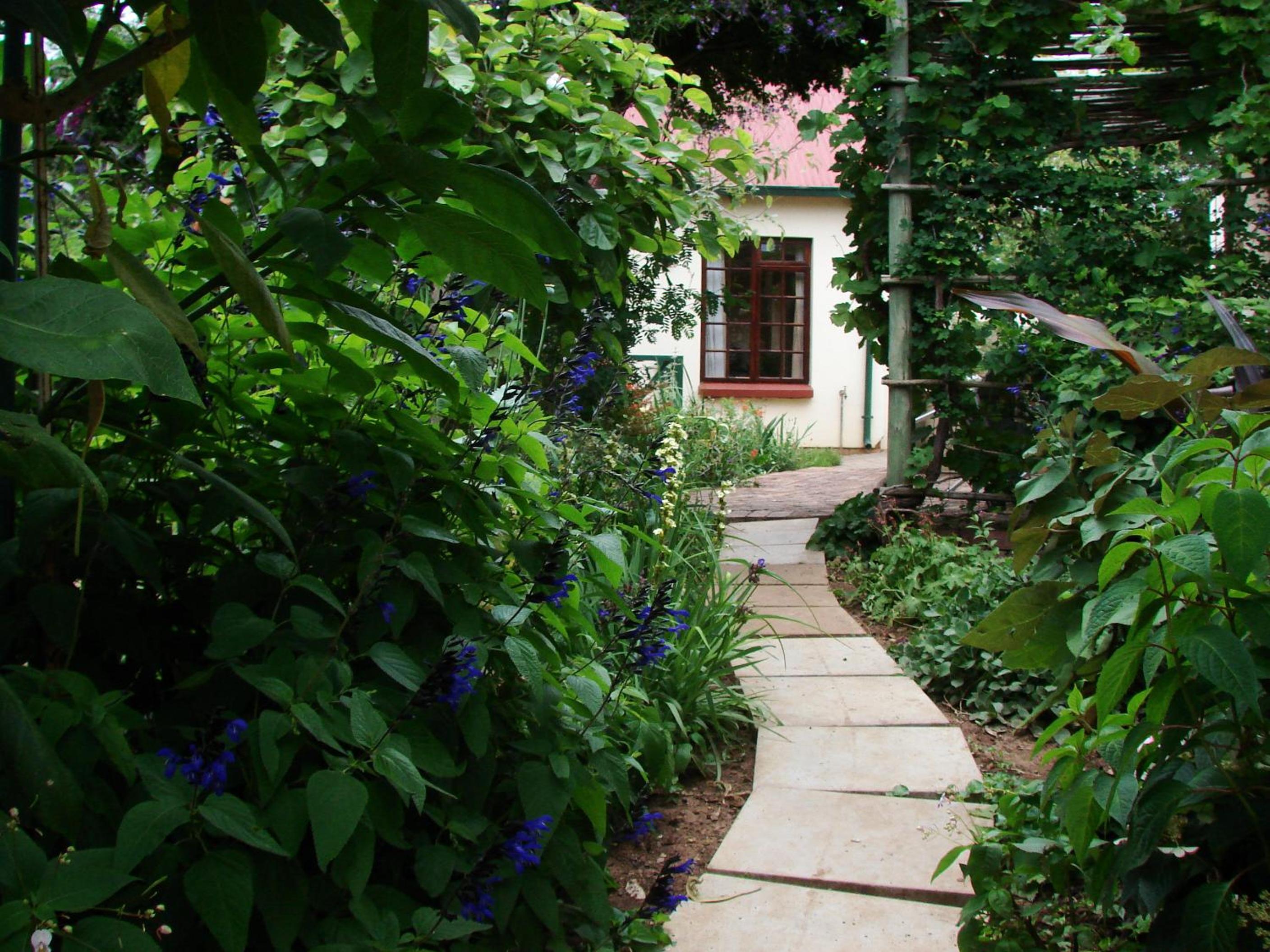 Petal Faire Cottage