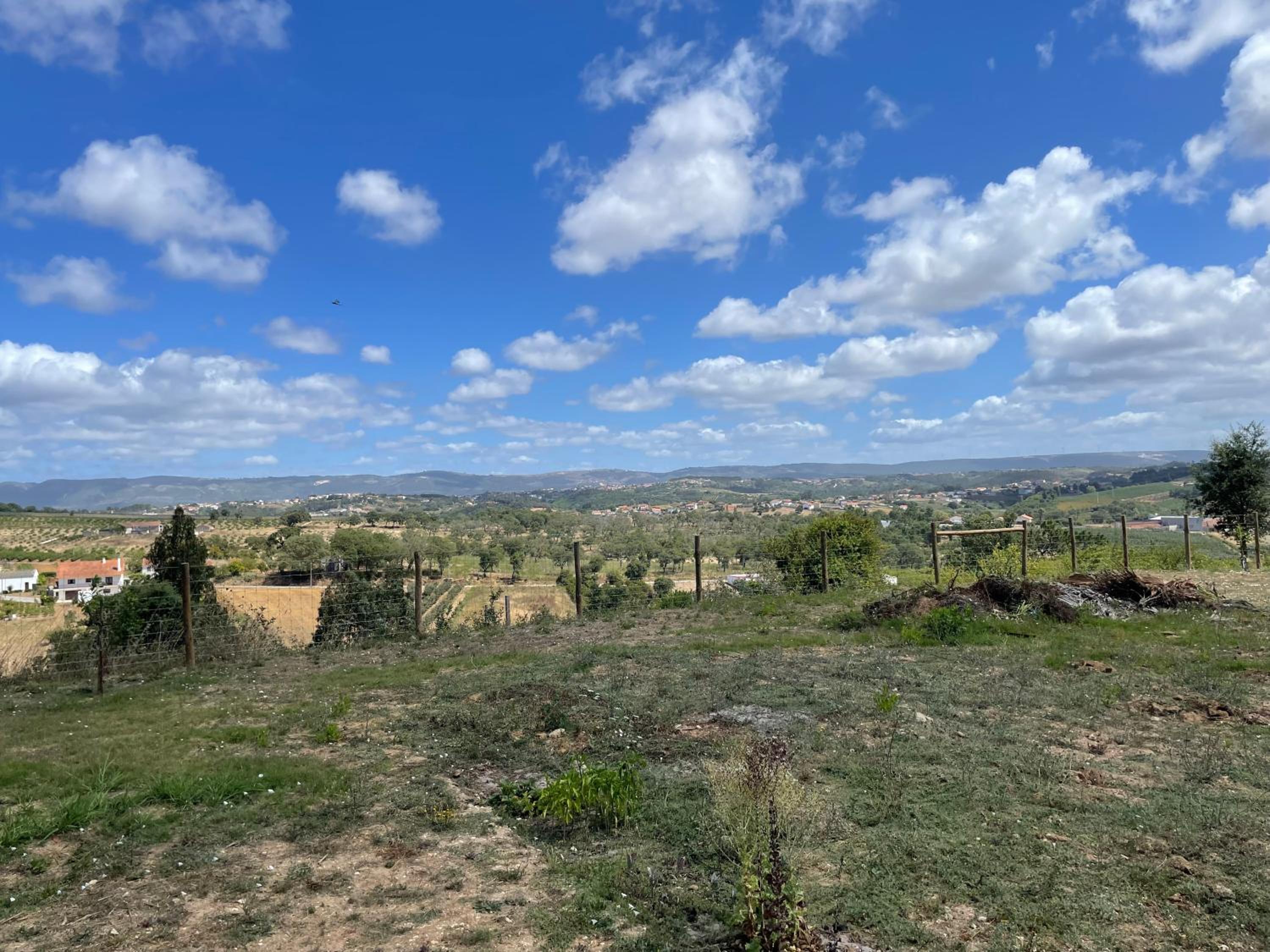 Entre Pomares view 5