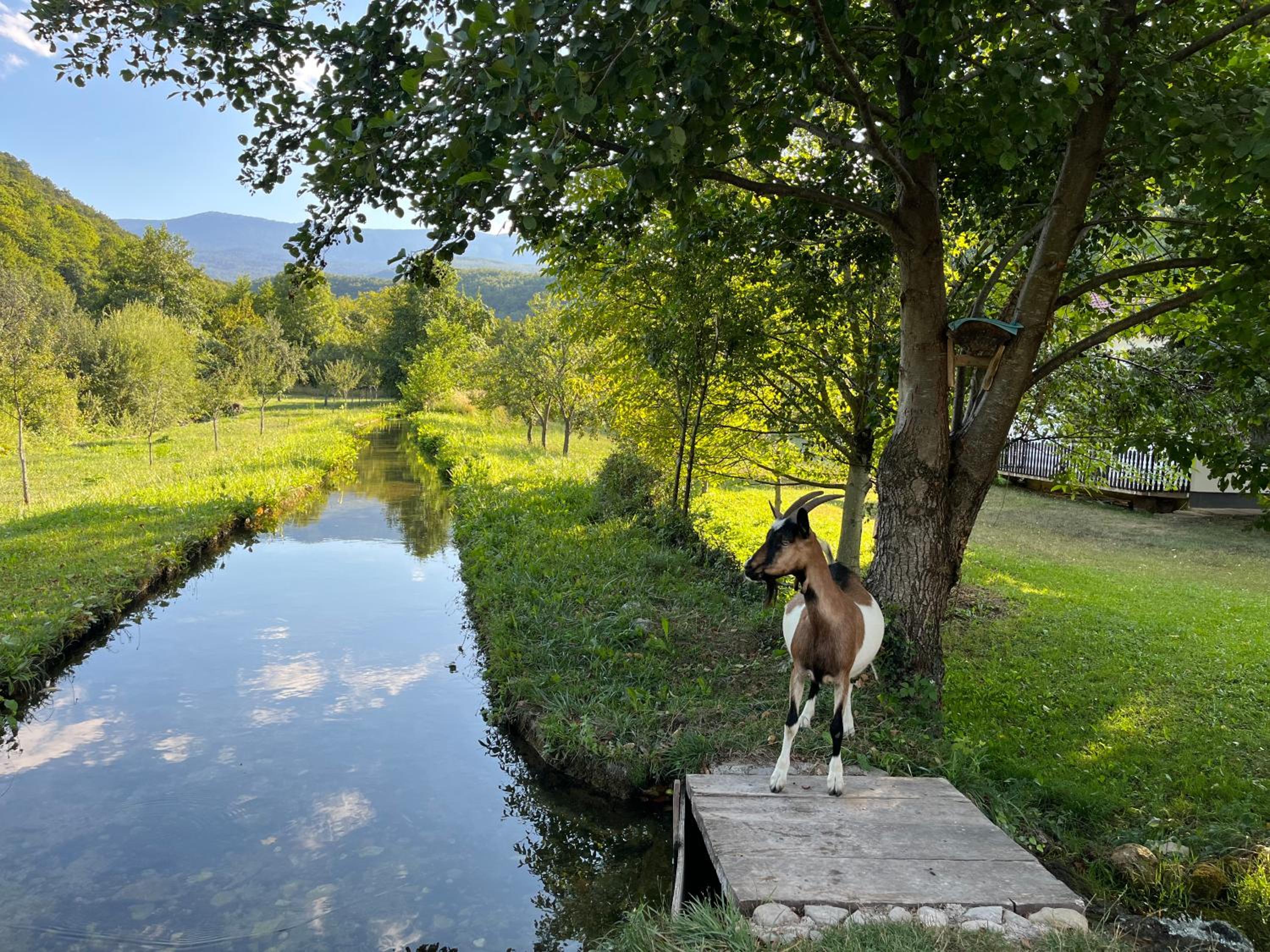 Soko holiday home Bihac