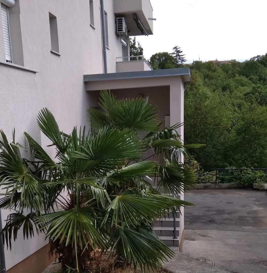 Apartman 4 - private parking and sea view view 5