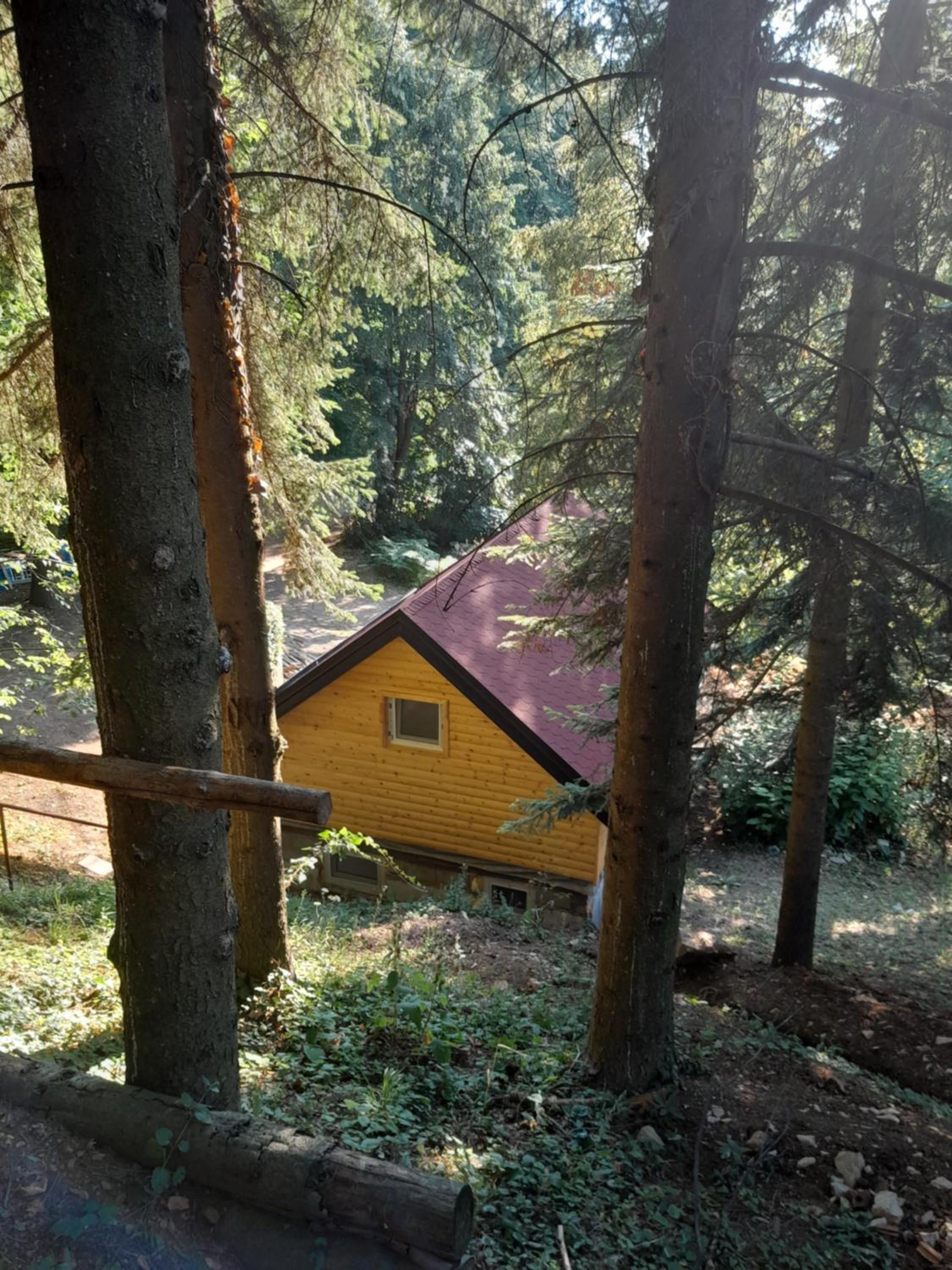 Rudnička čarolija view 5