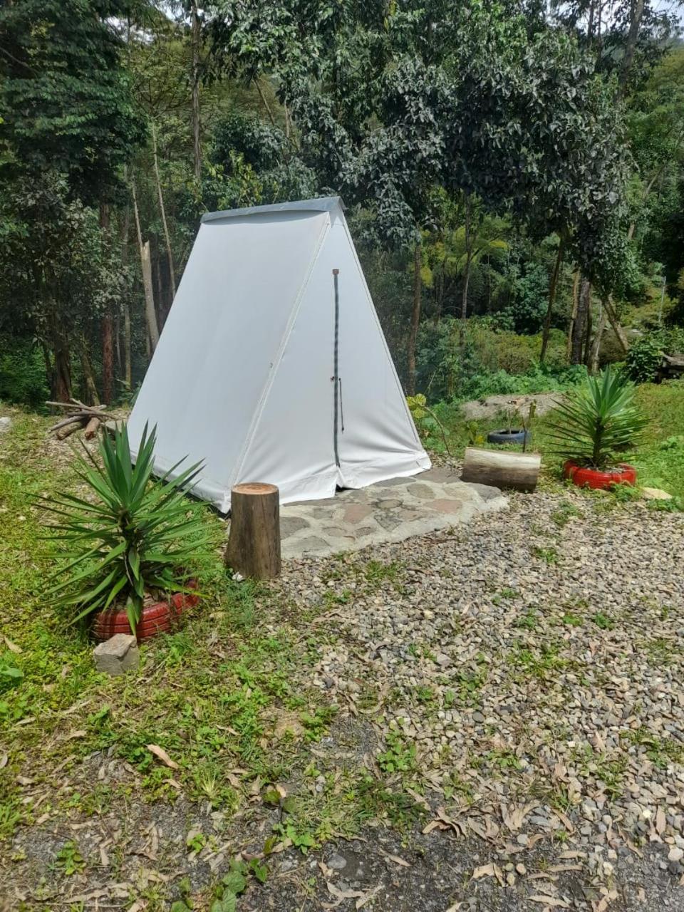 Refugio los naranjales view 2