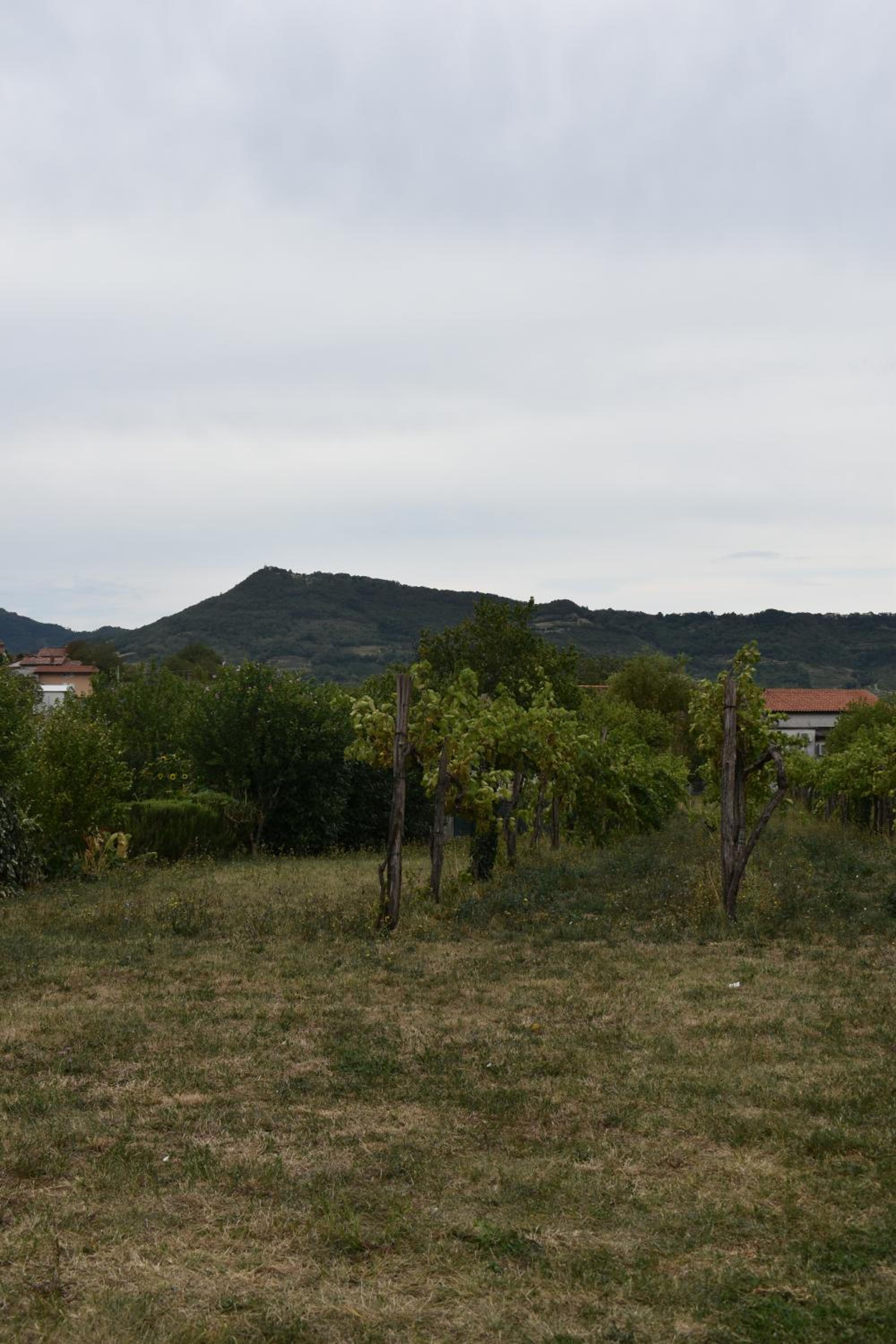 Small house in Vipava valley, photo 41