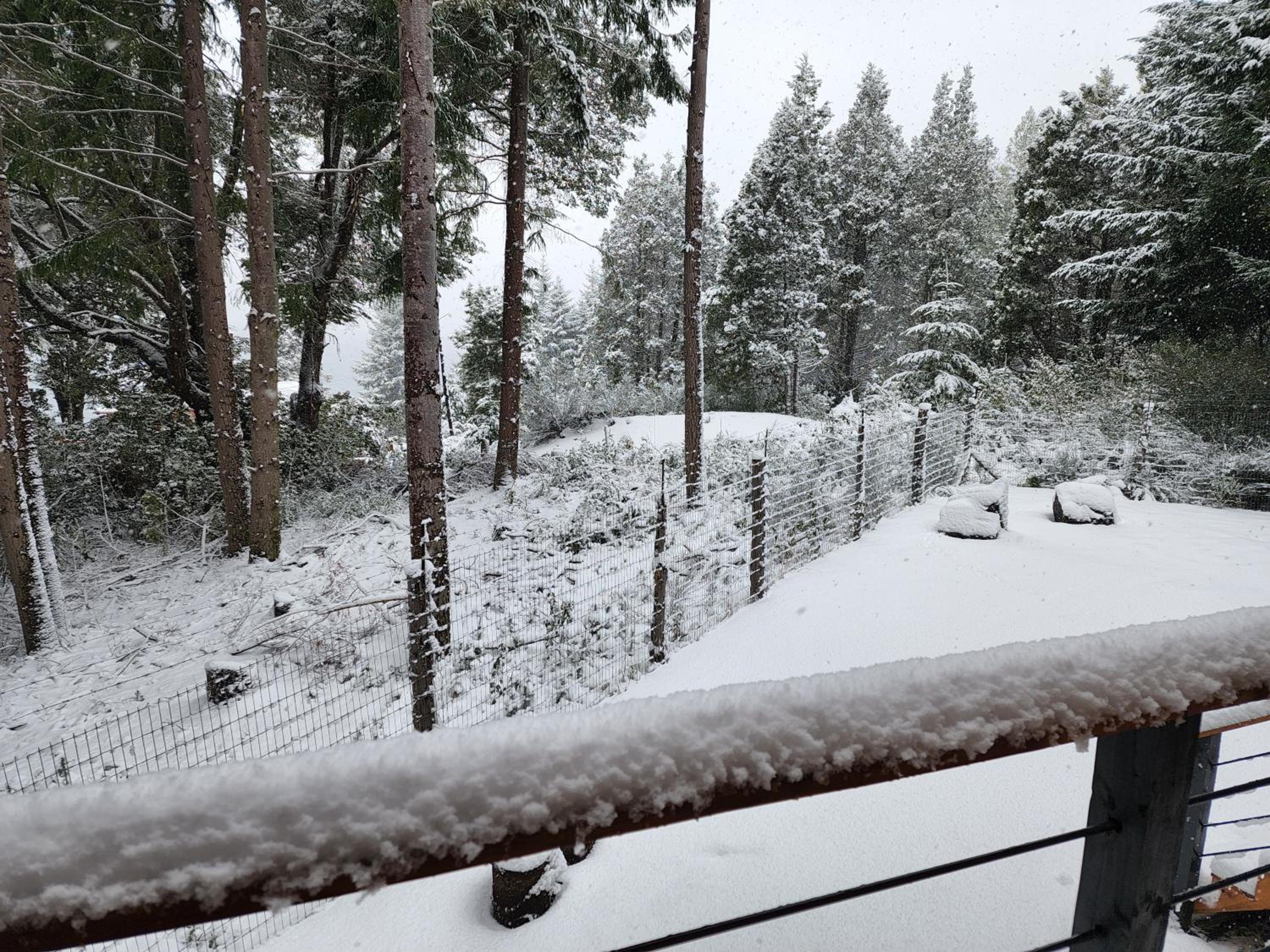 Patagonia y Nieve