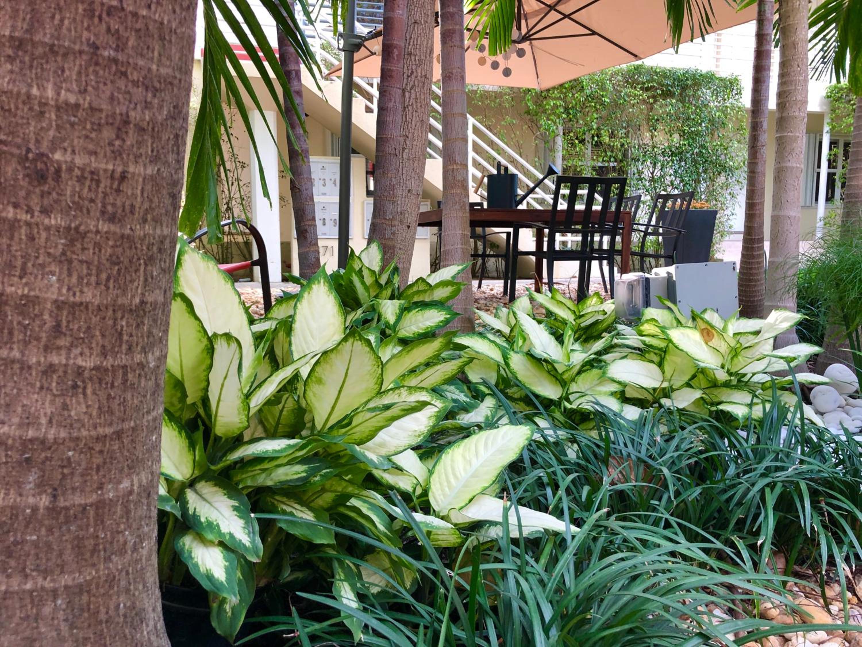 The Oasis