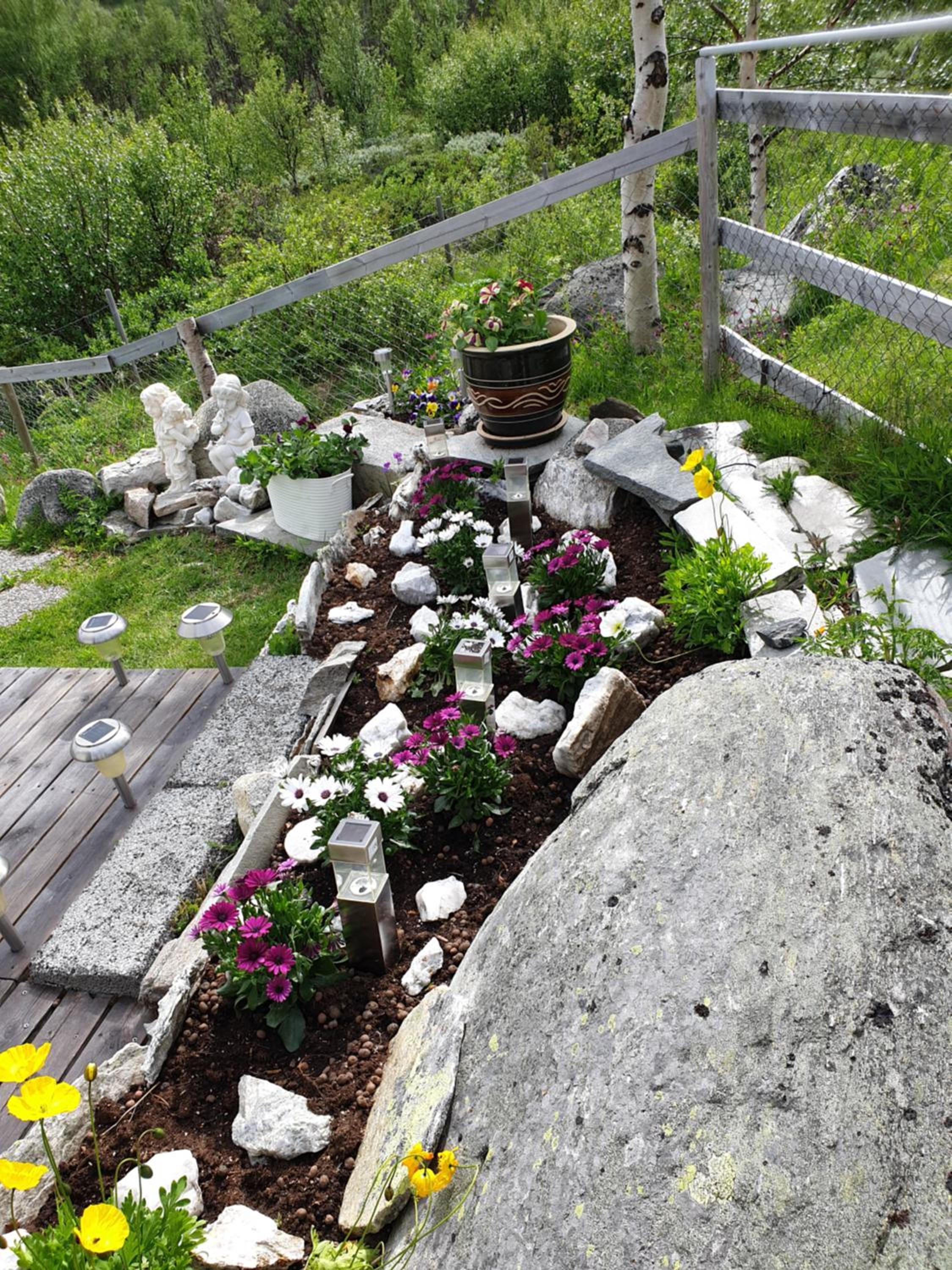 Photo 23