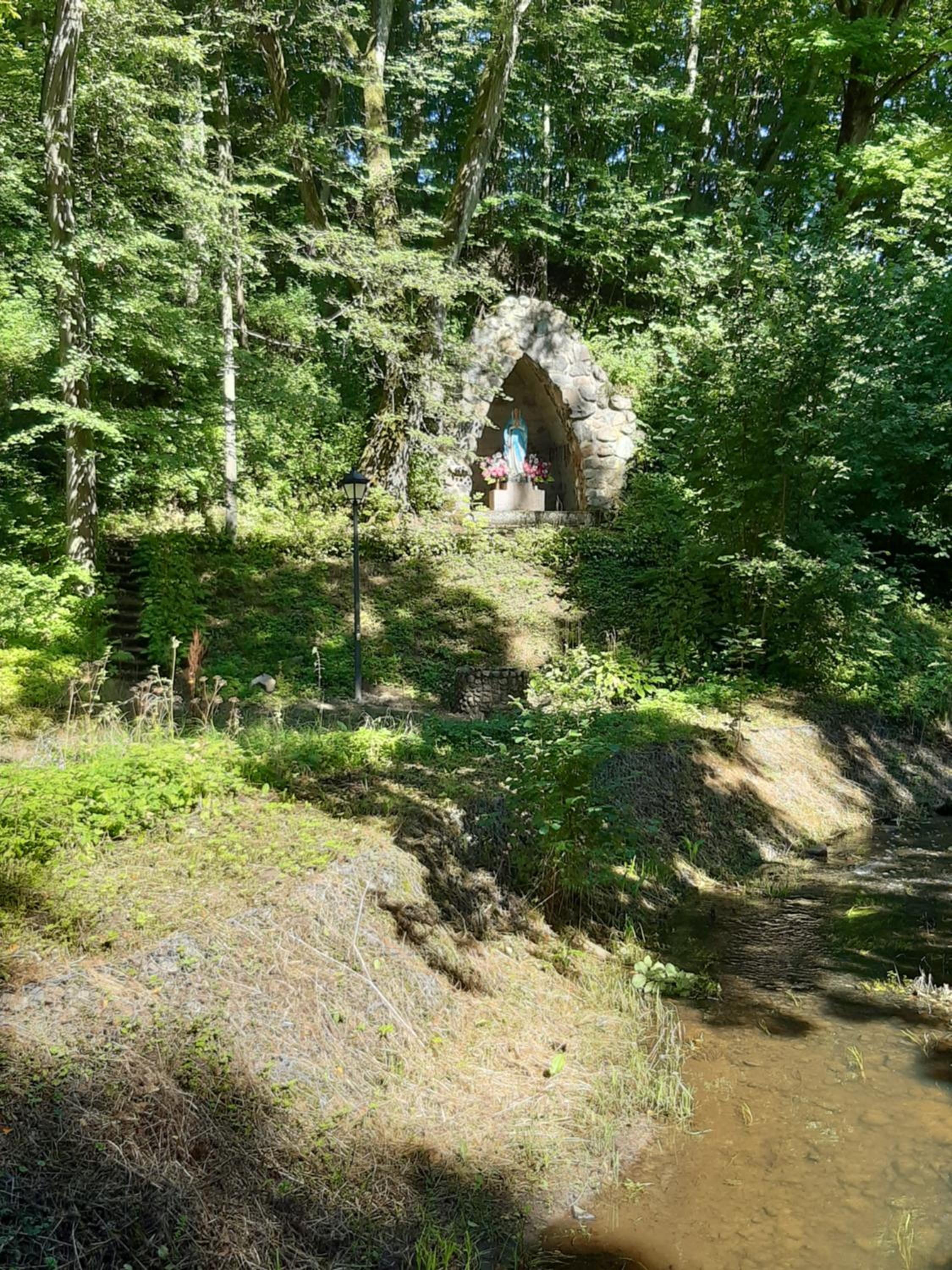 Photo 12
