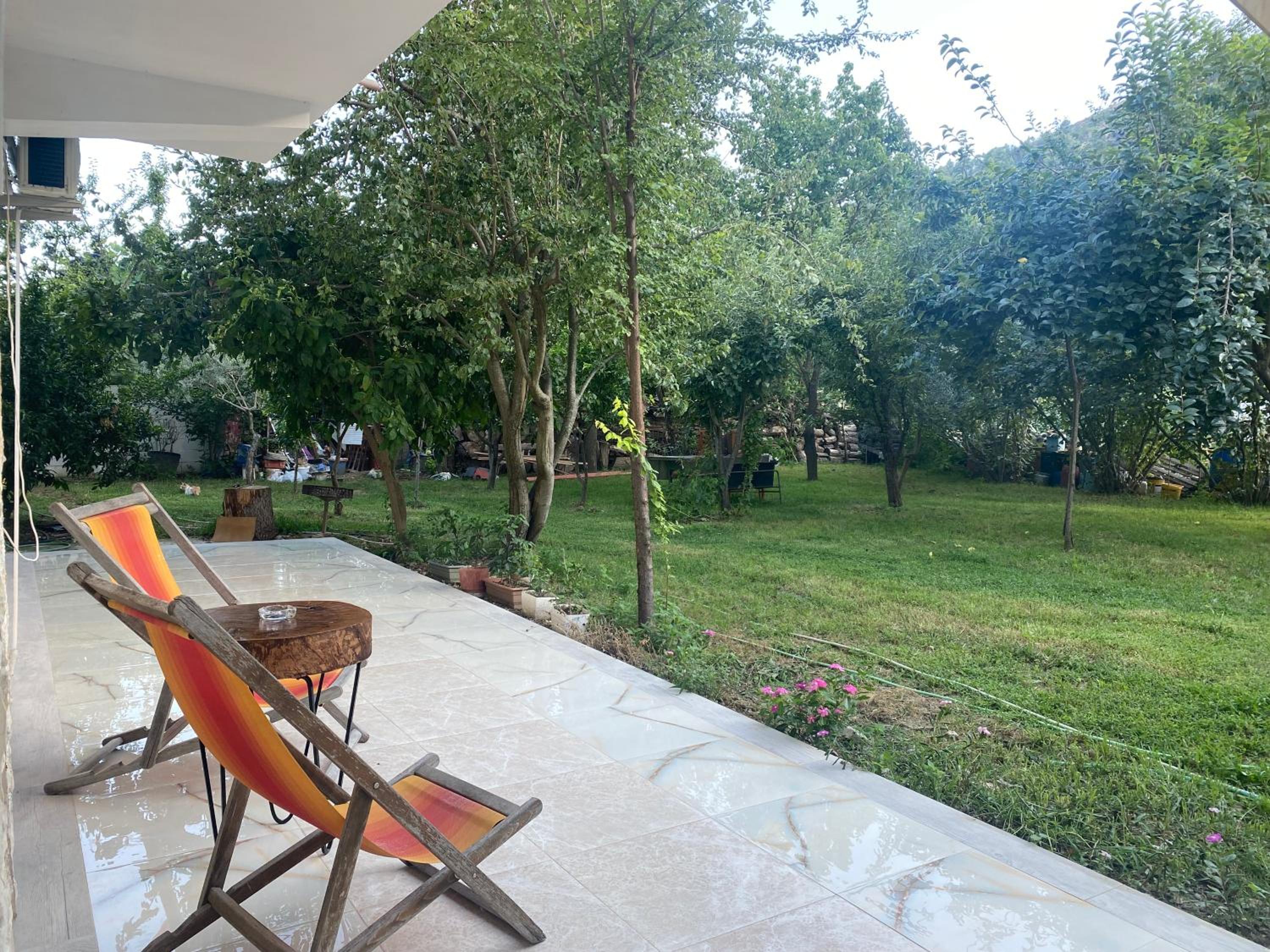 Xho's Forest Guest House