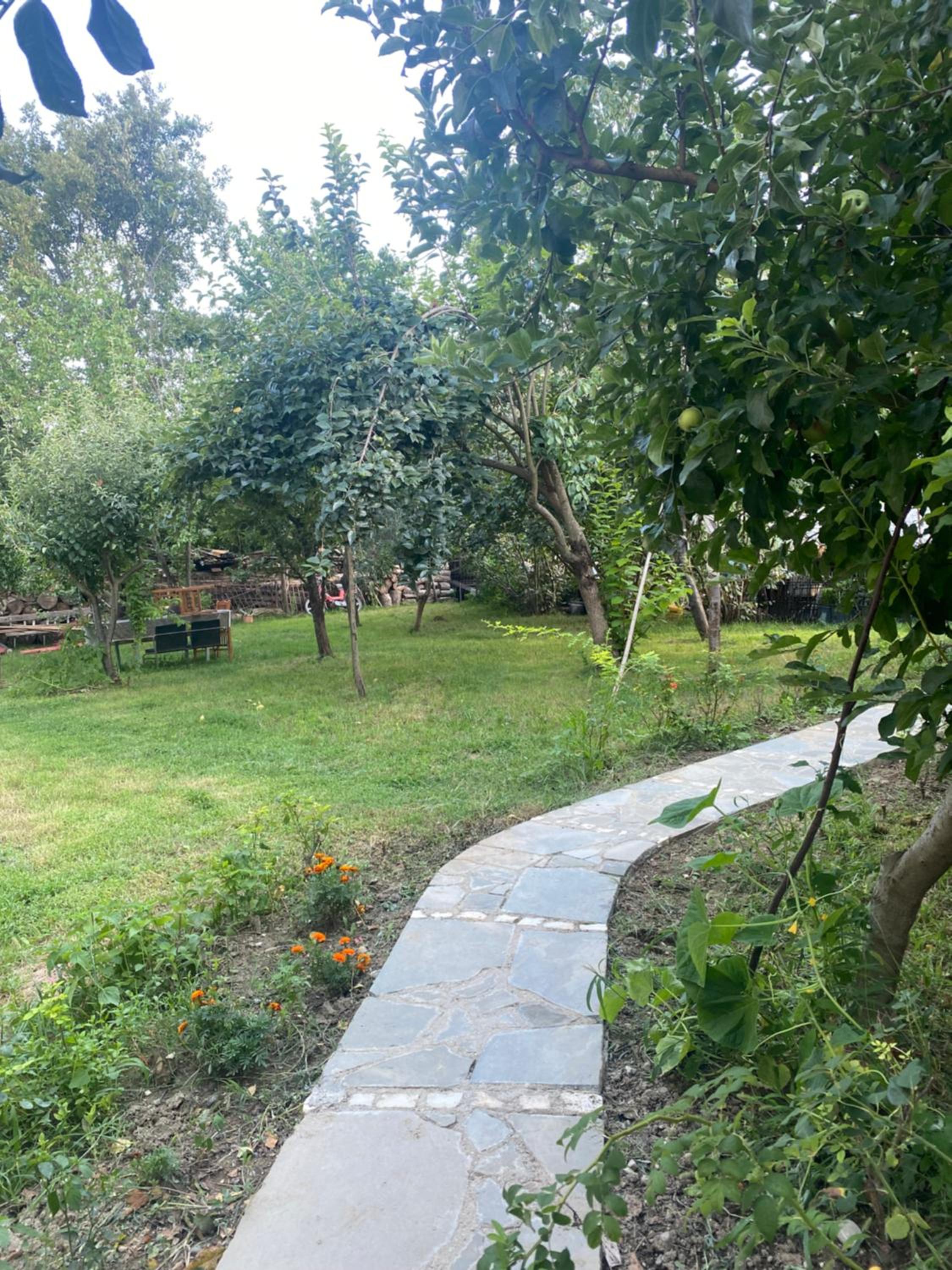 Xho's Forest Guest House